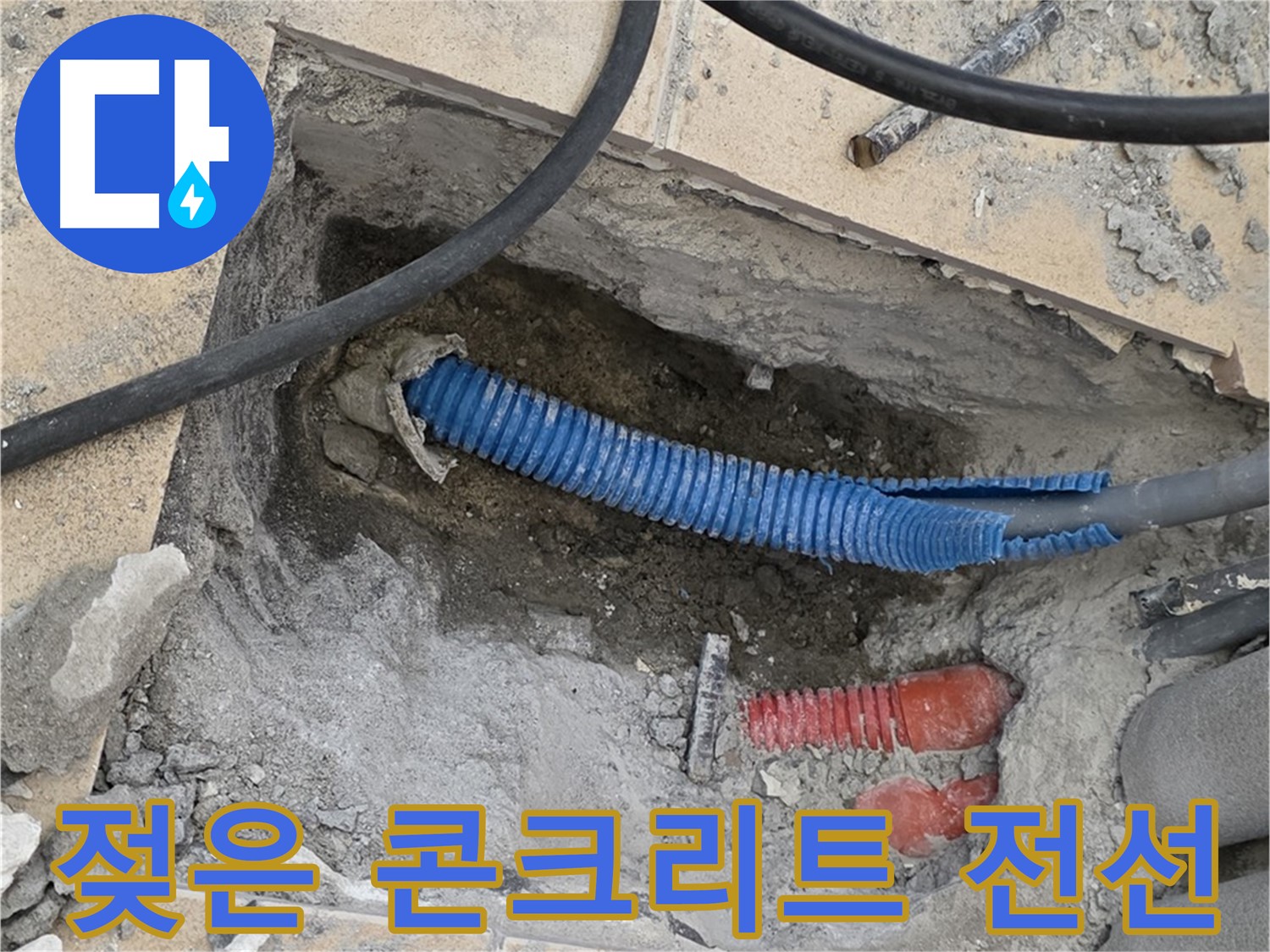 양주 삼숭동 자이아파트 누수 - 굴착 후 젖은 콘크리트와 꼬불거리는 파란 전선관 발견!