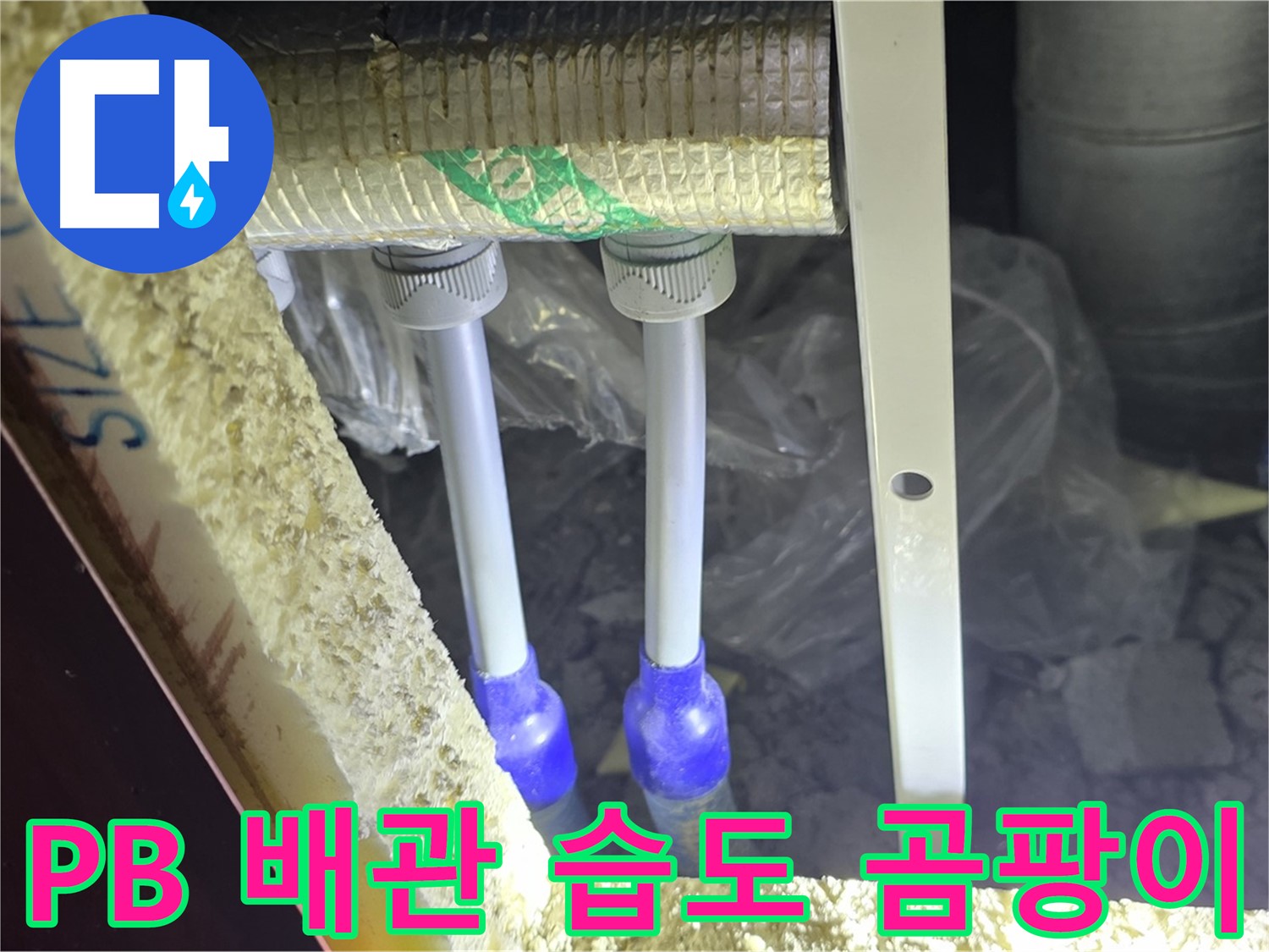 양주 자이 아파트 누수 - PB 배관 연결 부위 주변 습도 측정 및 곰팡이 발생 가능성 진단