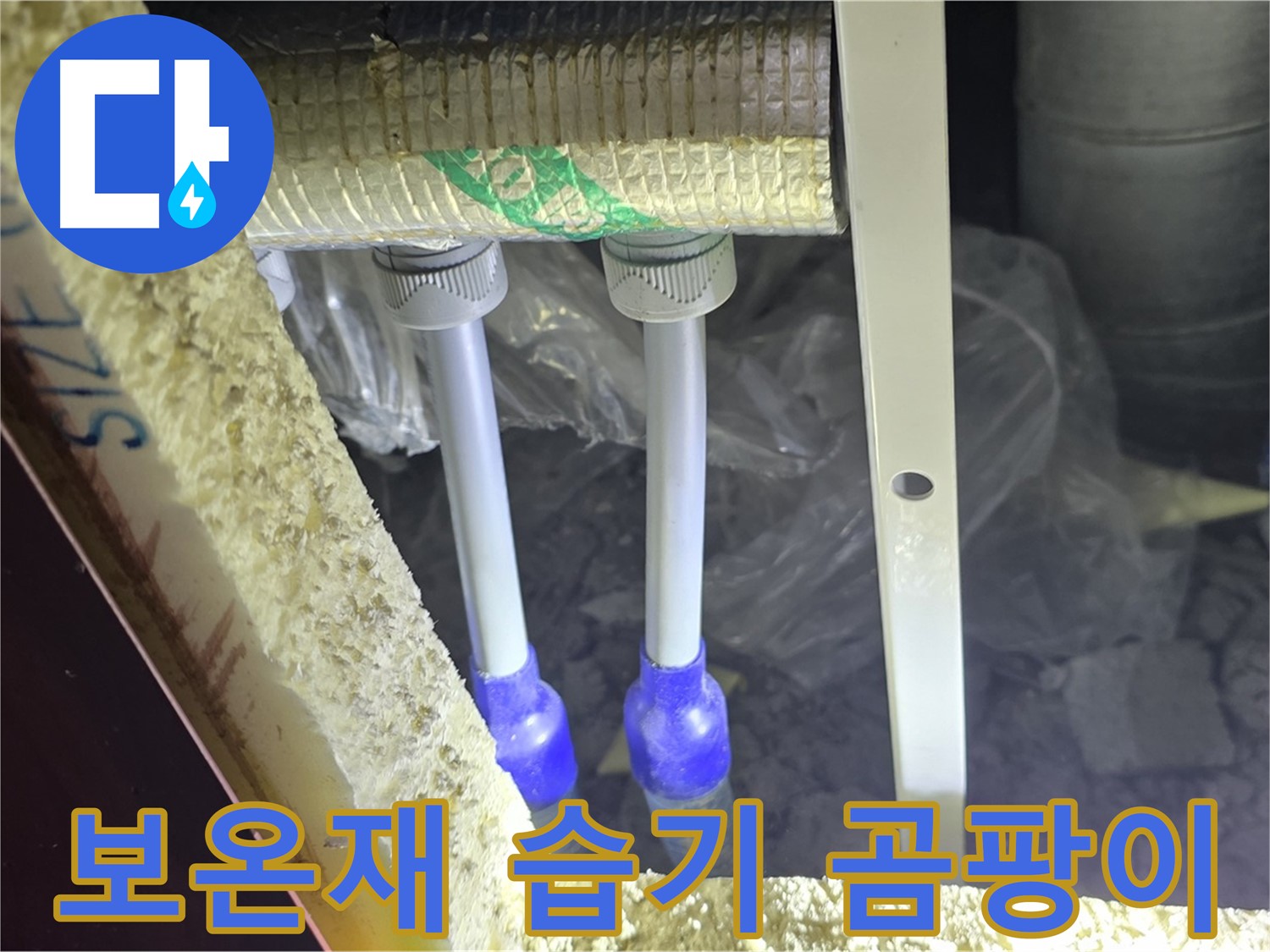 양주 자이 아파트 누수 - 배관 보온재 내부 습기 및 곰팡이 서식 여부 확인