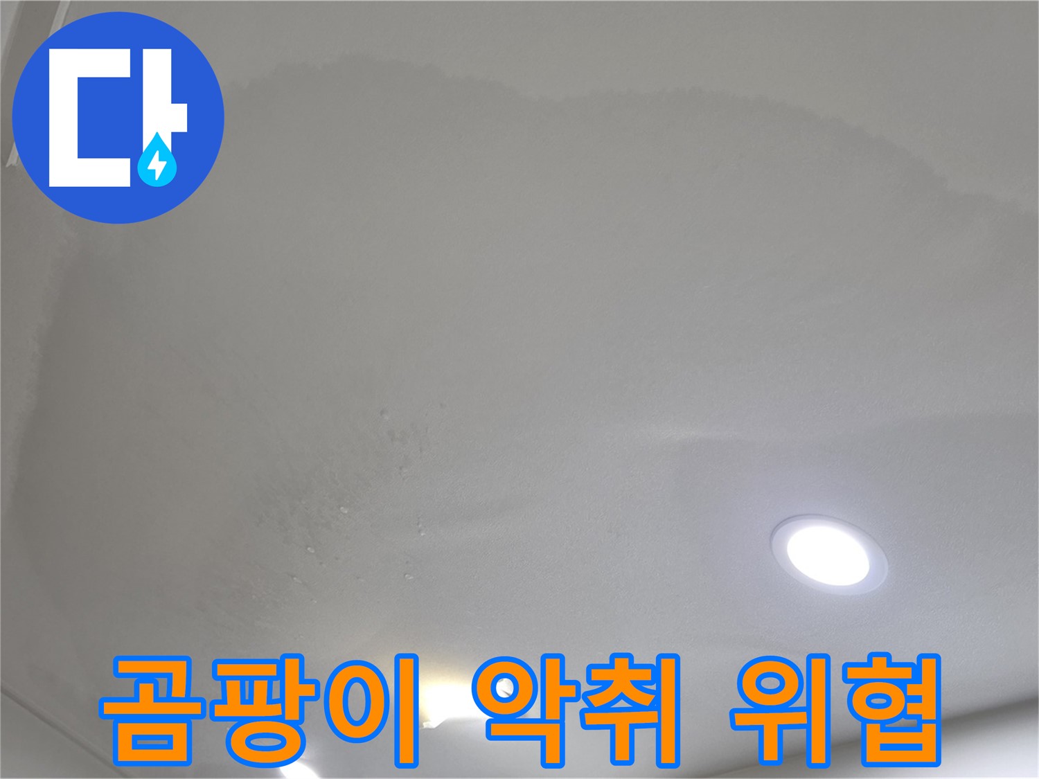 양주시 삼숭동 누수 - 넓게 젖은 천장 얼룩 - 곰팡이 악취