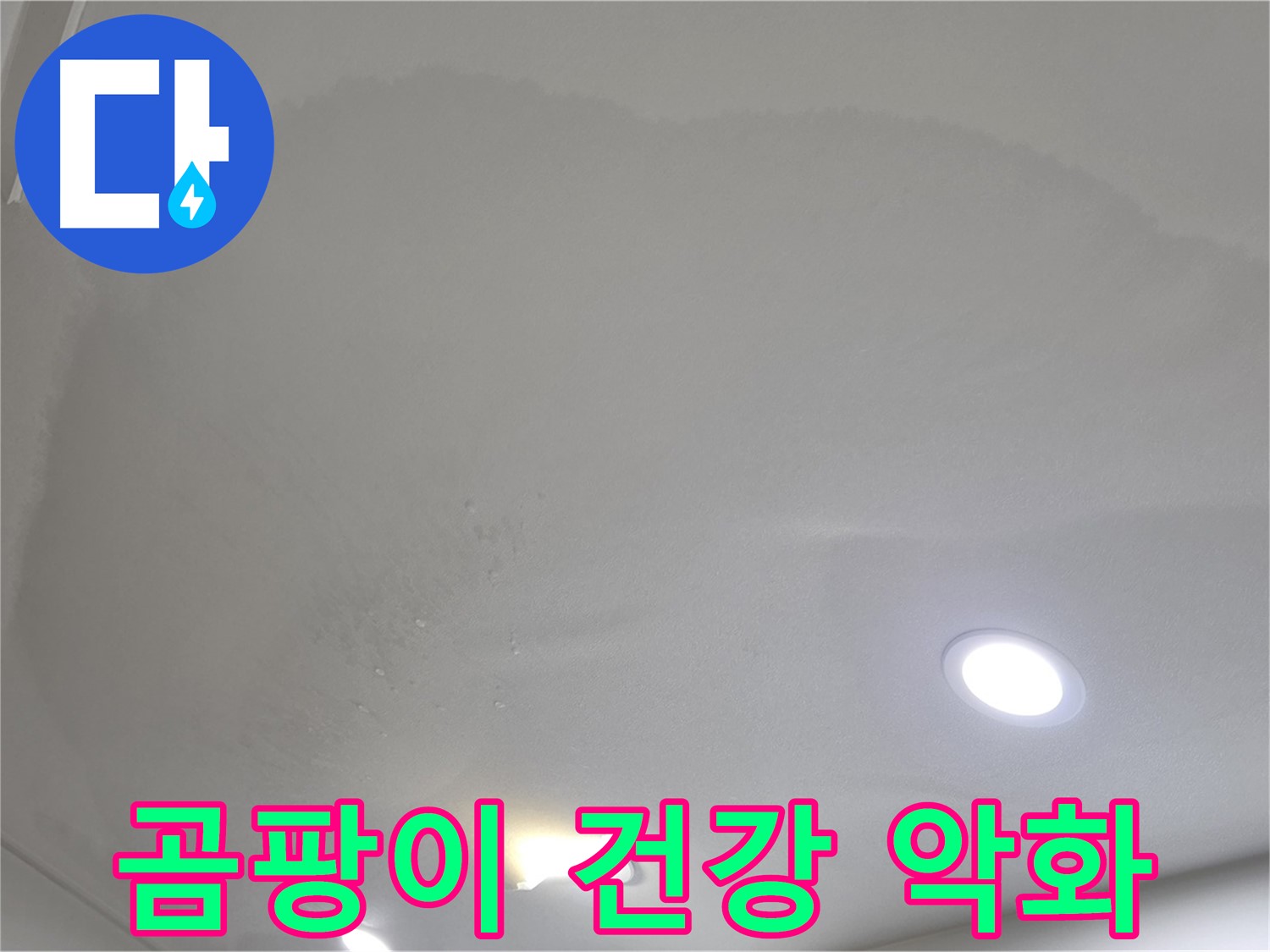 양주시 삼숭동 누수 - 젖은 천장 - 곰팡이