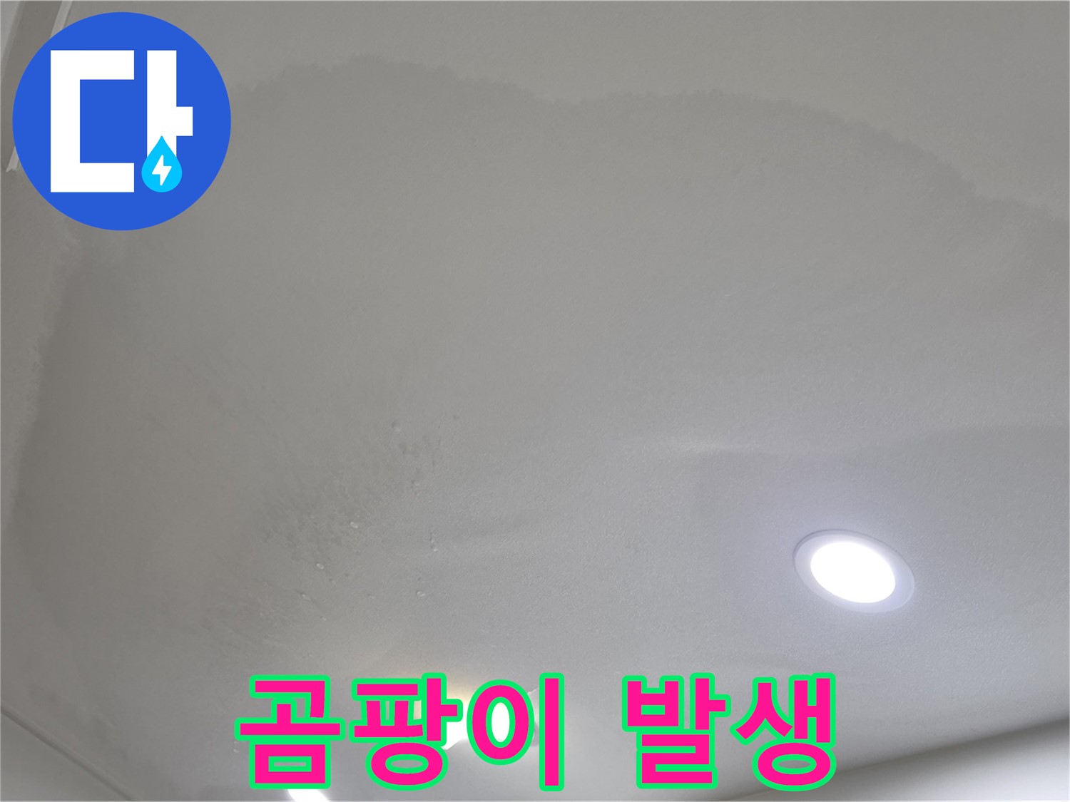 양주시 삼숭동 누수 - 젖은 천장 - 곰팡이