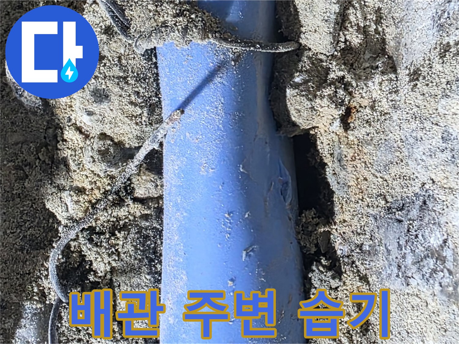 분당 쇳골로 누수 - 배관 주변에 습기가 차 있는 모습, 누수의 징후입니다.
