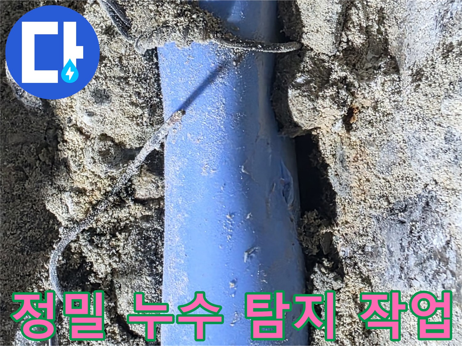 분당 쇳골로 누수 - 정밀 탐지 장비를 사용하여 누수 지점을 정확하게 찾아내는 과정입니다.