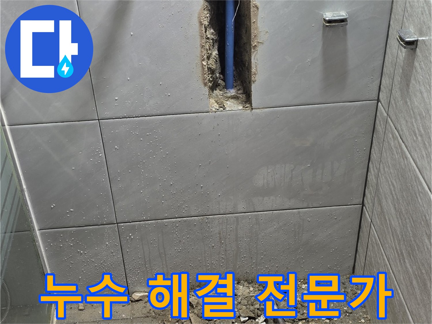 분당 쇳골로47번길 - 욕실 누수, 해결 전문가