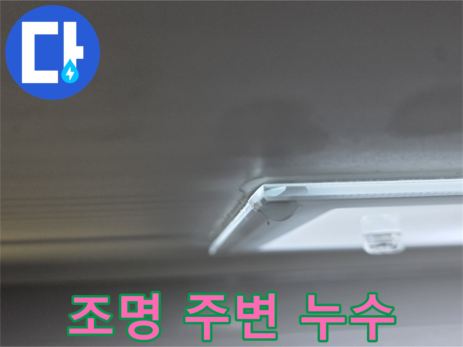 옥정 율정마을 아파트 천장 누수 - 조명 주변에 누수 흔적이 선명하게 나타나고 있습니다.