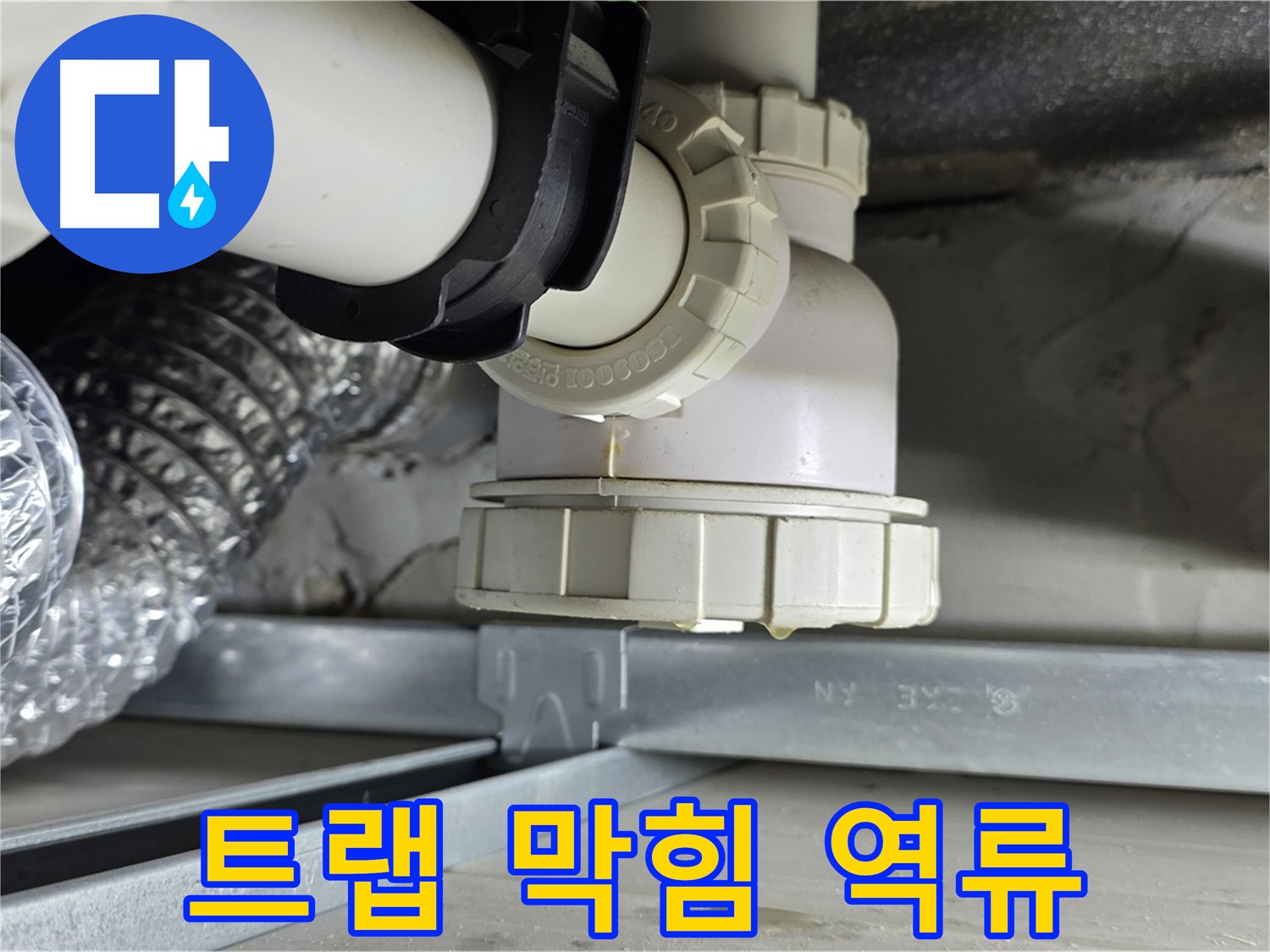 옥정동 율정마을 누수 - 세탁기 하수구 배수 트랩 막힘으로 인한 역류 및 누수