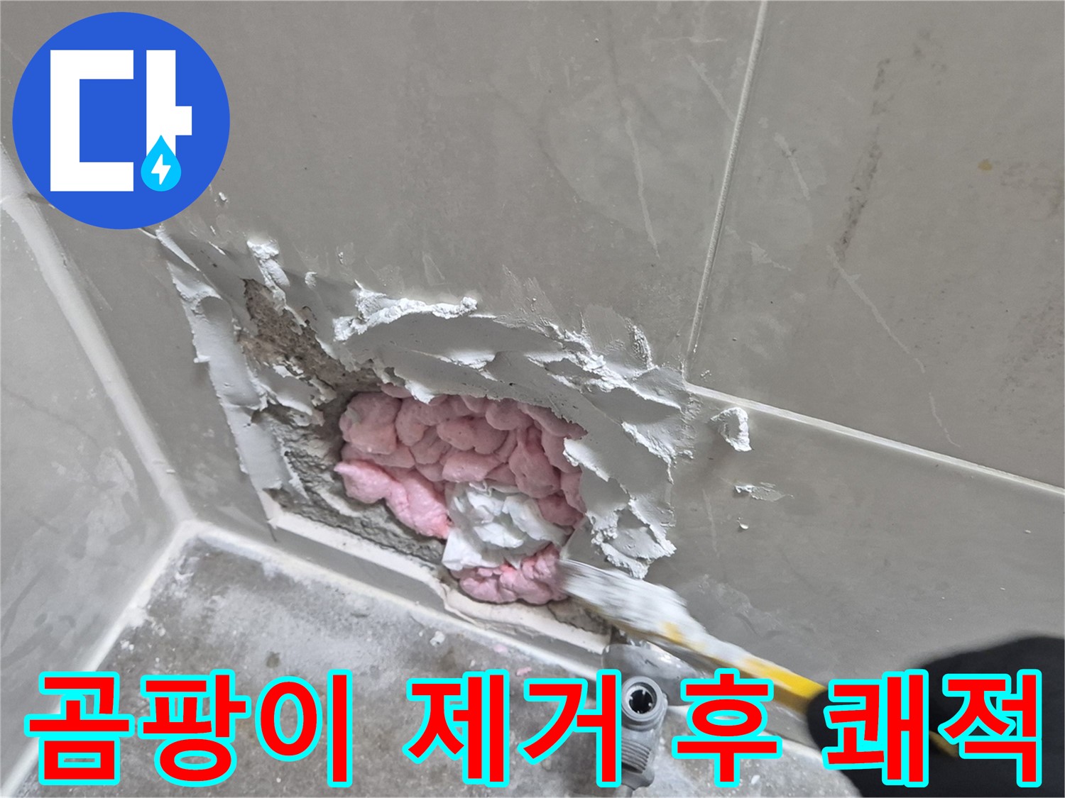 곰팡이 제거 후 쾌적 - 상쾌하게!