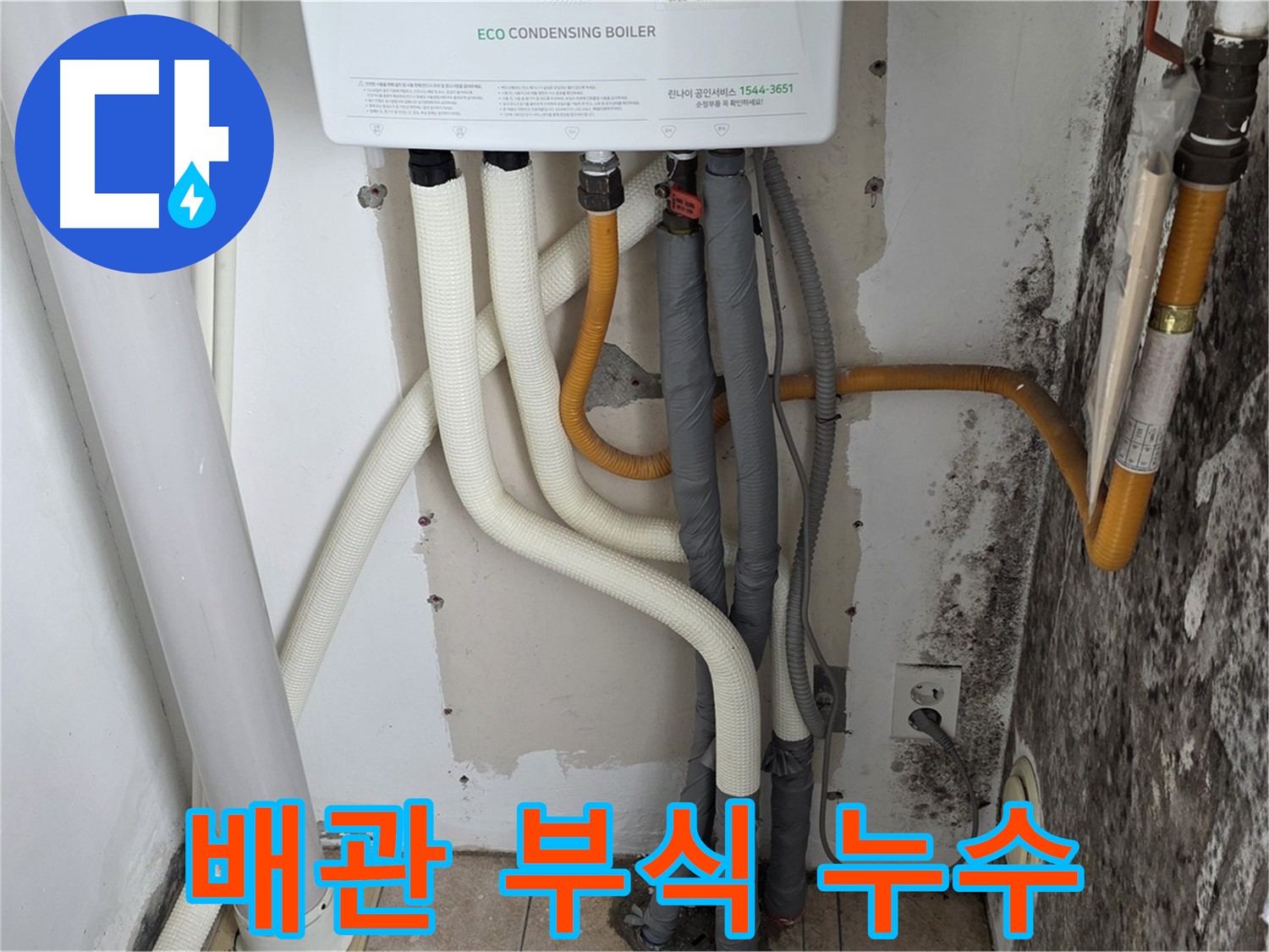 길음1동 아파트 누수 - 곰팡이 벽, 보일러 하단 배관 부식으로 인한 누수 원인