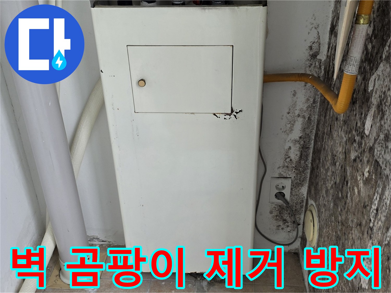 길음동 숭인로 - 곰팡이 핀 벽의 곰팡이 제거 및 재발 방지를 위한 전문가 방문