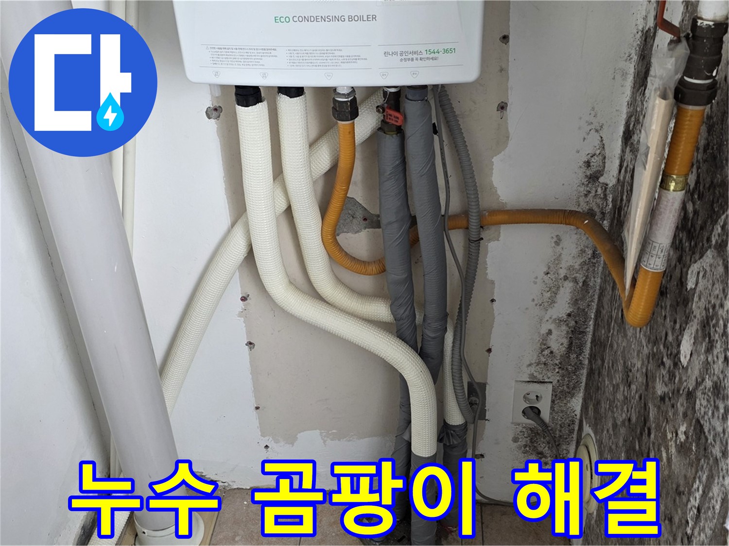길음동 아파트 누수 문제 해결 - 보일러 배관 누수와 곰팡이 제거 작업
