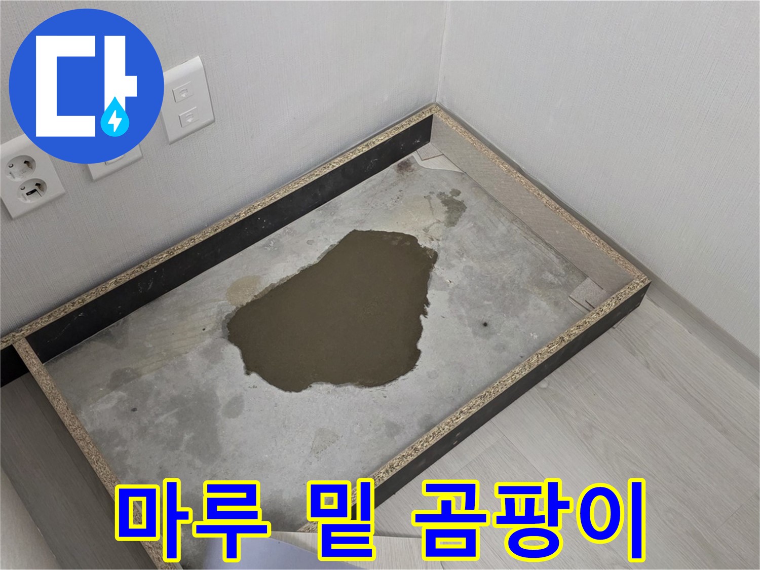 성북구 길음1동 누수 - 마루 밑 곰팡이 발견, 누수 원인 철저 분석 및 곰팡이 제거