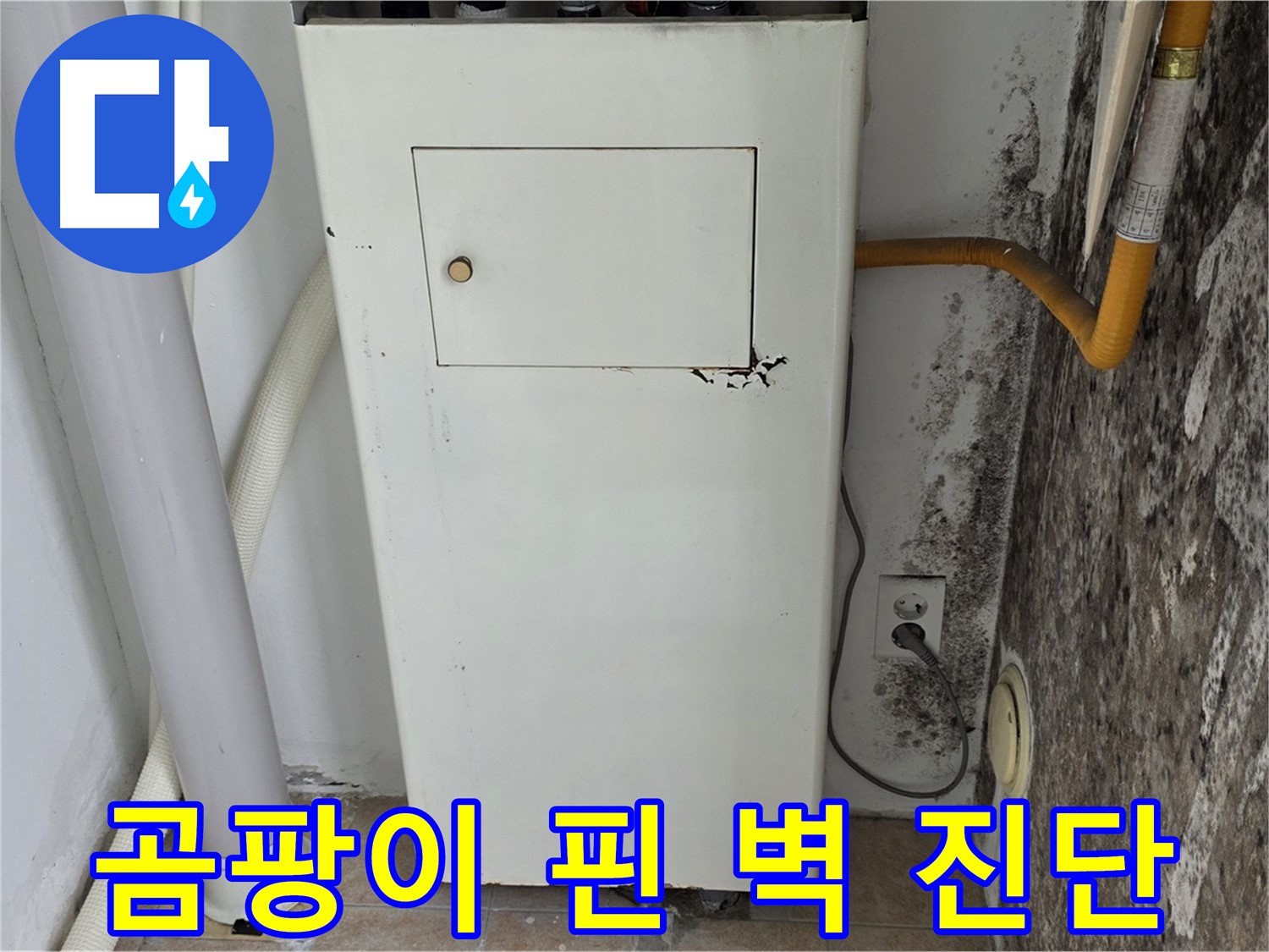 성북구 길음1동 숭인로 - 곰팡이 핀 벽 긴급 누수 점검 - 누수 전문가의 신속한 진단