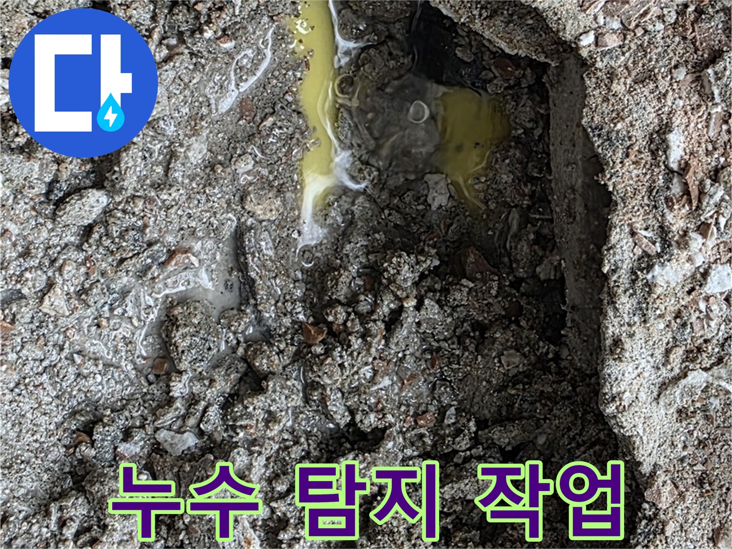 성북구 길음동 누수 탐지 작업 - 전문 장비를 사용하여 정확한 누수 지점을 찾아내는 모습입니다.