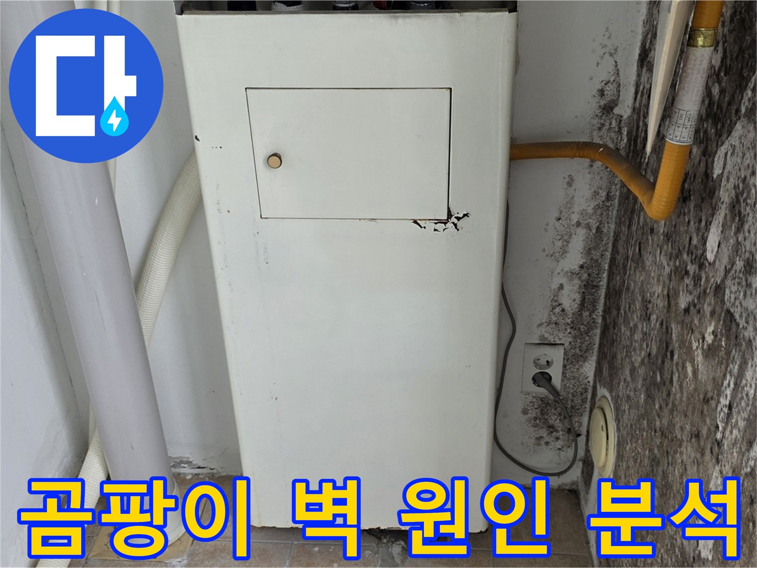 성북구 길음동 숭인로 - 곰팡이 핀 벽의 원인 분석 및 해결 - 누수 전문가의 전문적인 진단