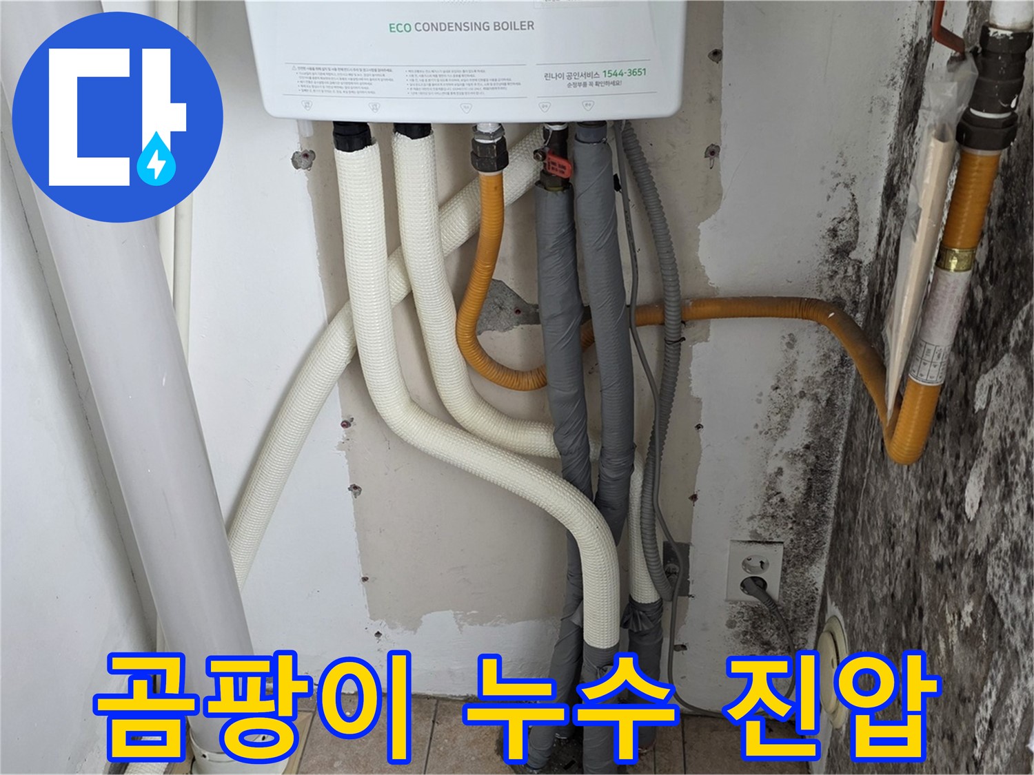 성북구 길음동 아파트 곰팡이 벽 - 보일러 배관 누수 초기 진압 현장