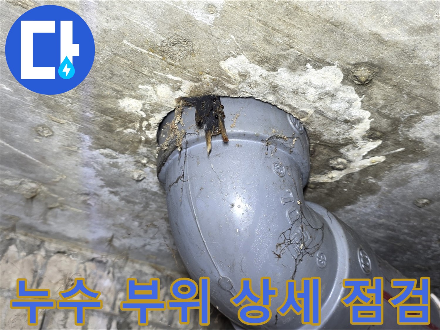 강북구 수유동 삼광빌라 누수 - 누수 부위를 꼼꼼하게 점검하는 모습