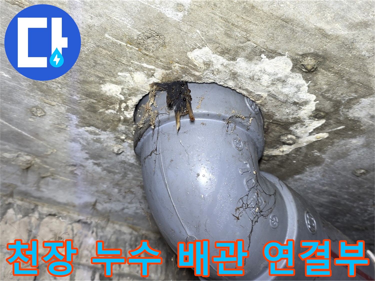 강북구 수유동 삼광빌라 천장 누수 - 문제의 배관 연결 부위 상세 사진