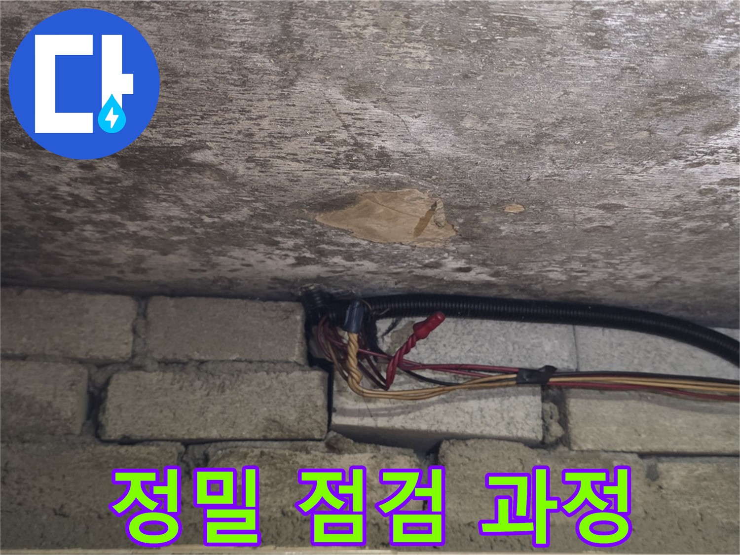 용인 처인구 원일아파트 누수 - 복잡한 배선 속 숨은 누수를 정밀하게 점검하는 과정
