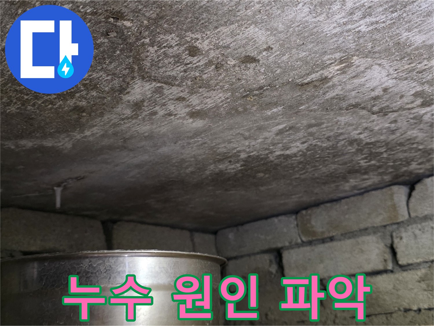 용인 처인구 원일아파트 천장 누수 - 누수 원인 파악을 위한 정밀 점검