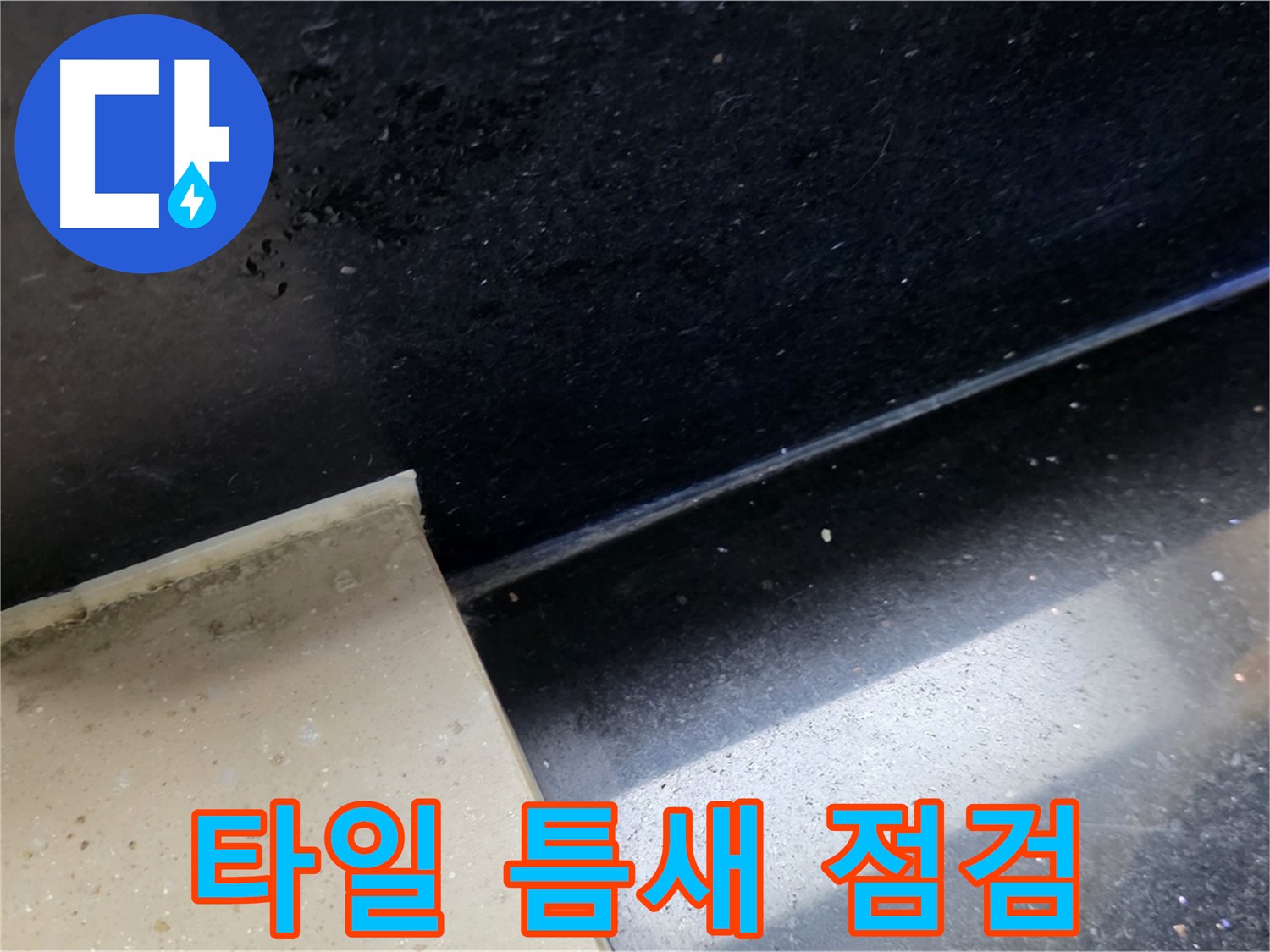 고양시 일산서구 하이파크 아파트 타일 틈새 점검 - 누수 탐지의 기본입니다.