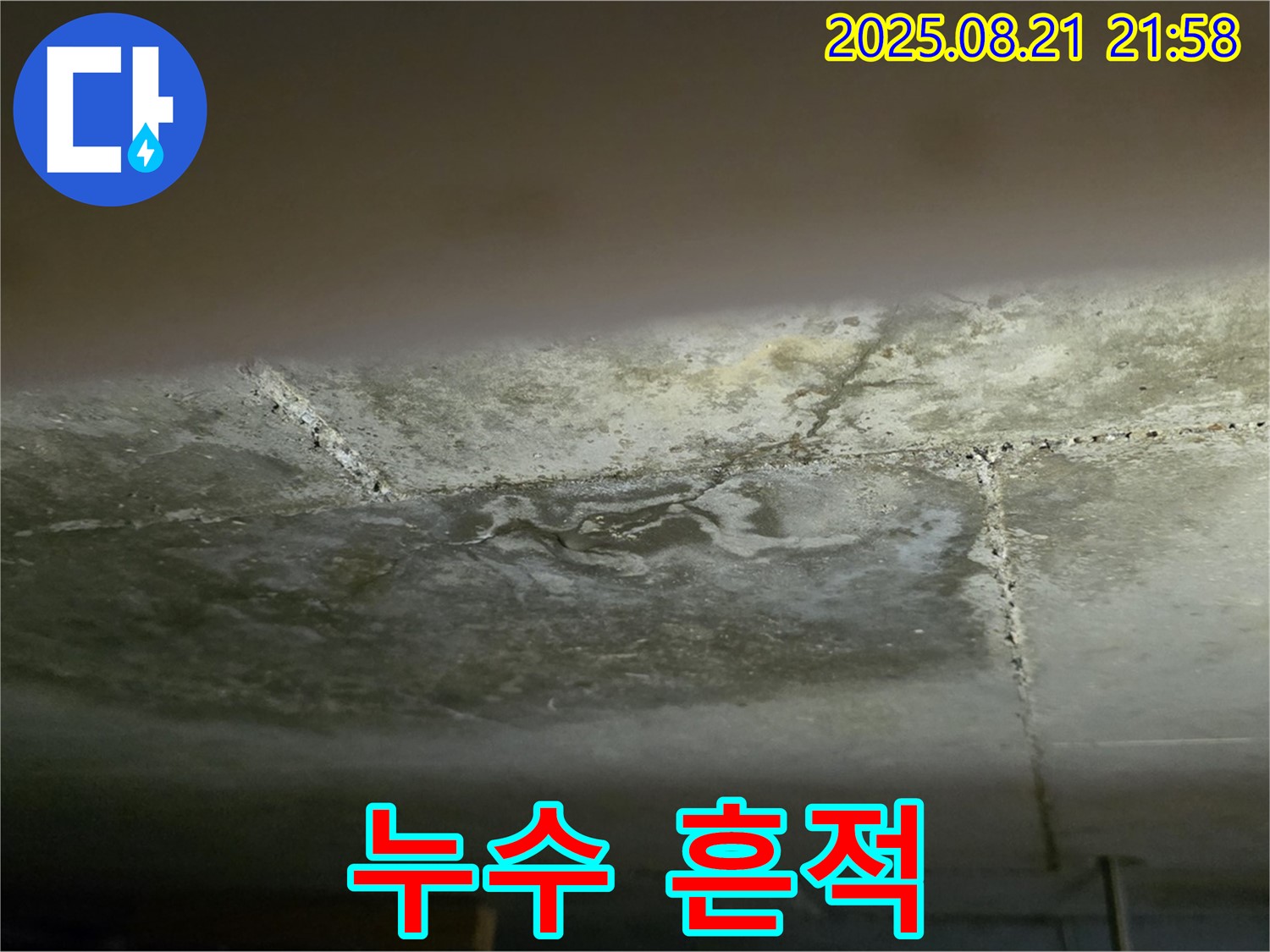고양시 일산서구 하이파크3로 빌라 - 누수로 인해 생긴 얼룩과 변색된 천장 모습입니다.