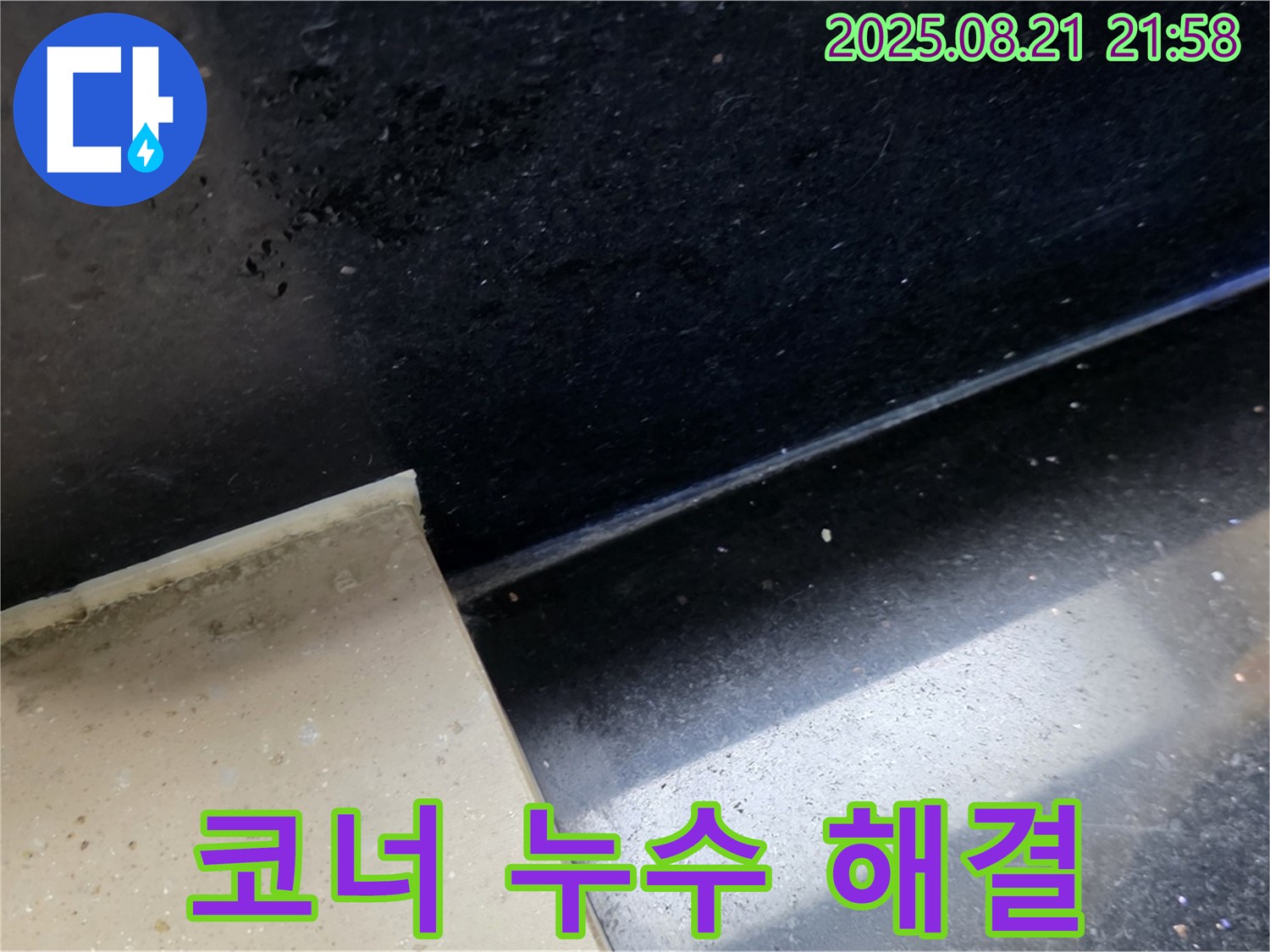 일산 하이파크 누수 현장 - 곰팡이 핀 욕실 코너 타일 틈새를 통해 누수 위치를 파악하고 문제 해결을 위한 준비를 하는 모습