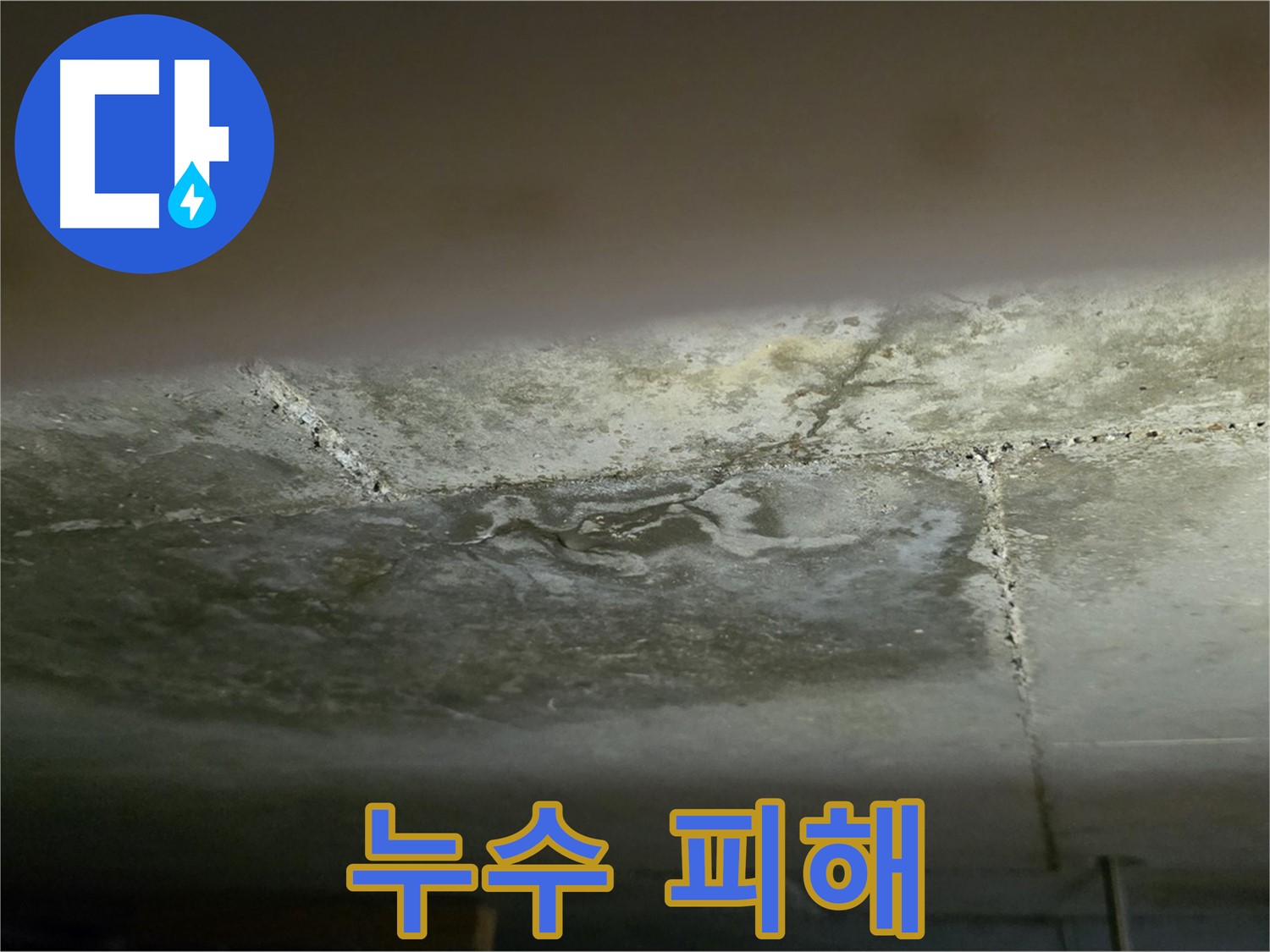 일산서구 덕이동 아파트 누수 피해 - 꼼꼼한 시공으로 누수 완벽 차단