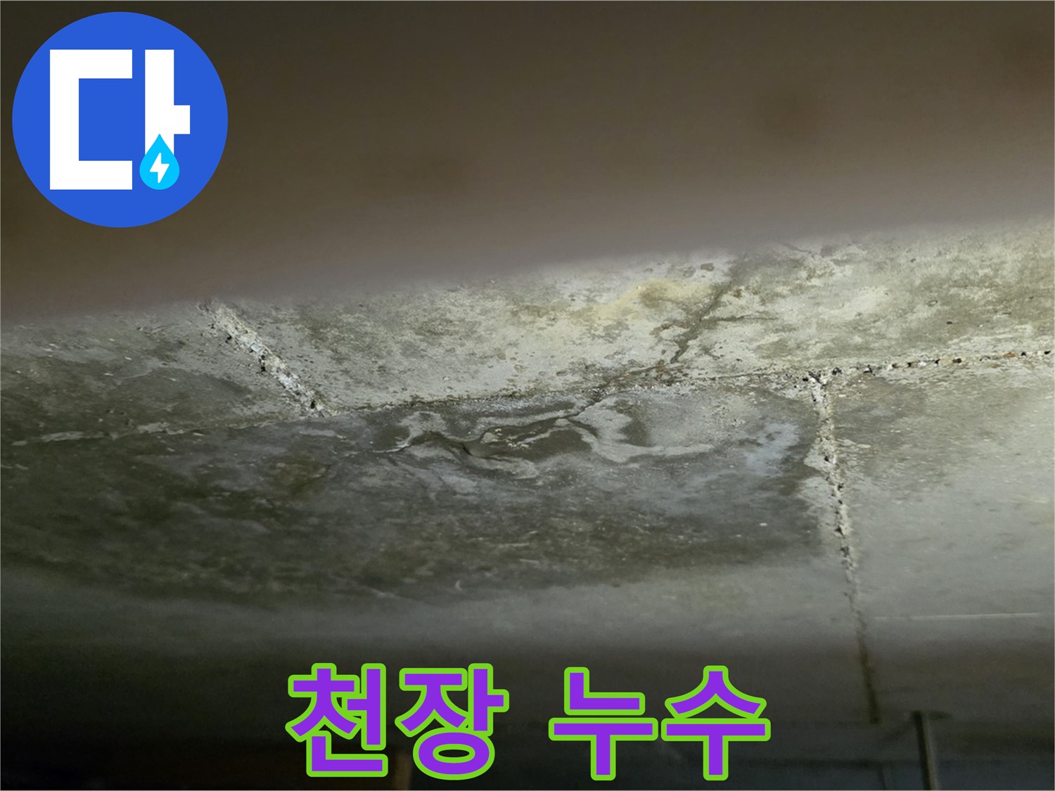 일산서구 주엽동 아파트 천장 누수 - 최첨단 장비로 정확한 원인 진단