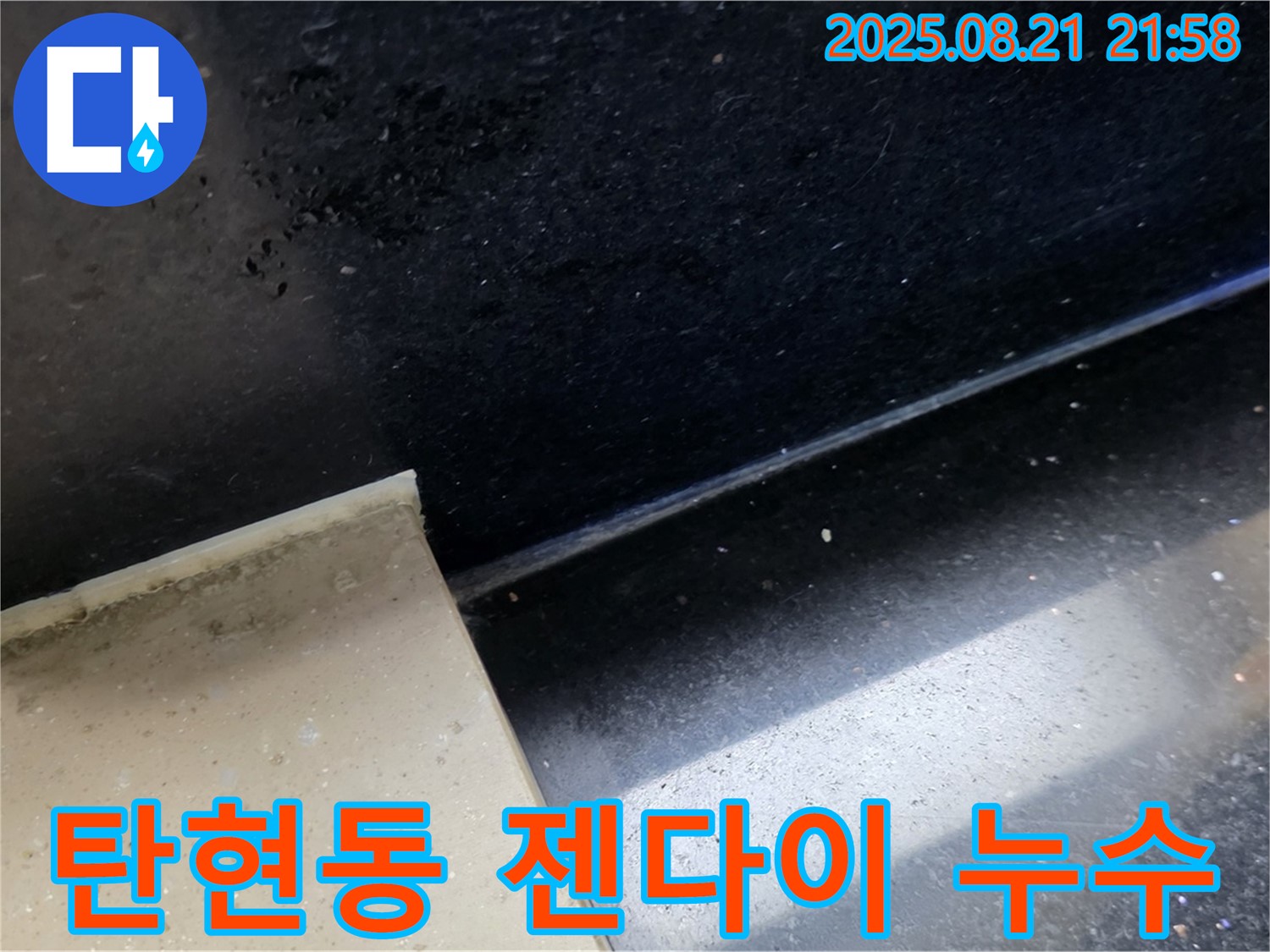 일산서구 탄현동 누수 현장 - 곰팡이 핀 욕실 젠다이 타일 틈새를 자세히 관찰하며 누수 원인을 꼼꼼하게 진단하는 모습