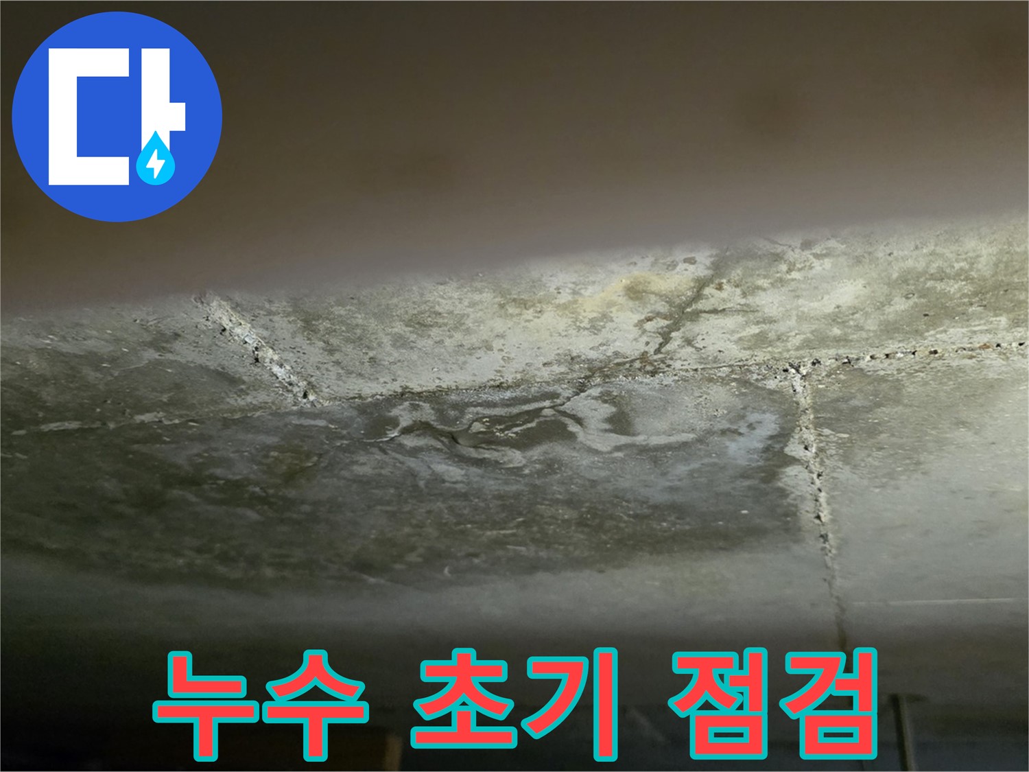 일산서구 하이파크 아파트 누수 - 초기 증상 꼼꼼 점검 및 진단
