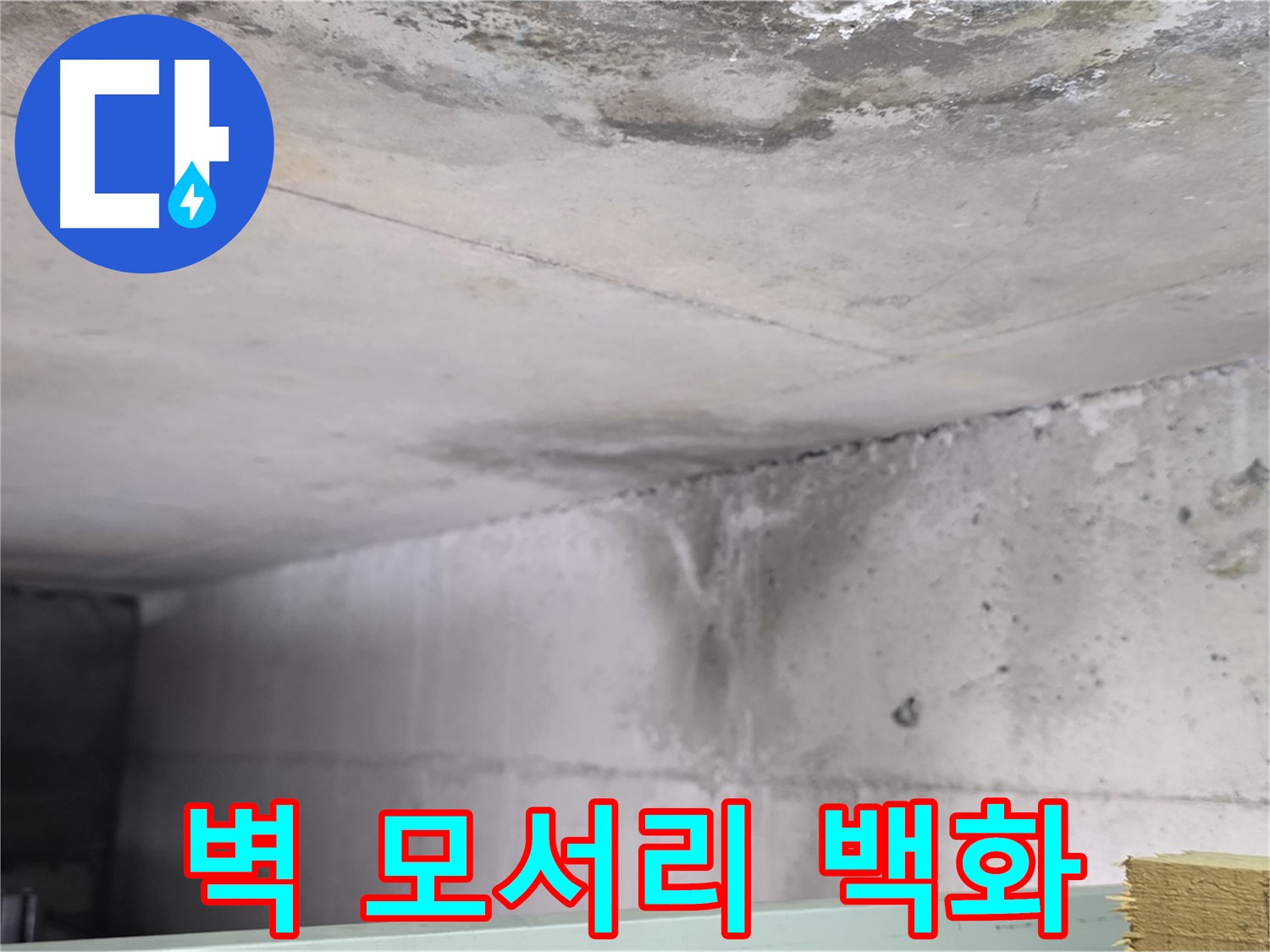 콘크리트 벽 모서리 누수 - 일산 누수, 백화 현상 동반