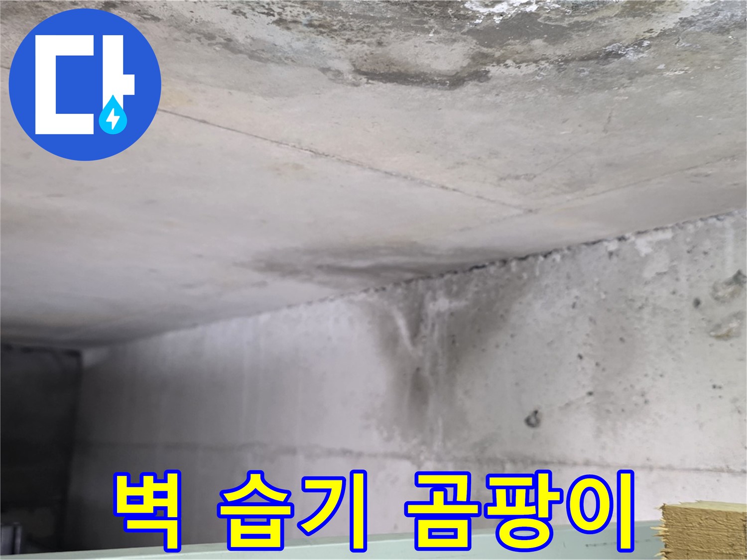 콘크리트 벽면 습기 - 일산서구 누수, 곰팡이 발생 초기