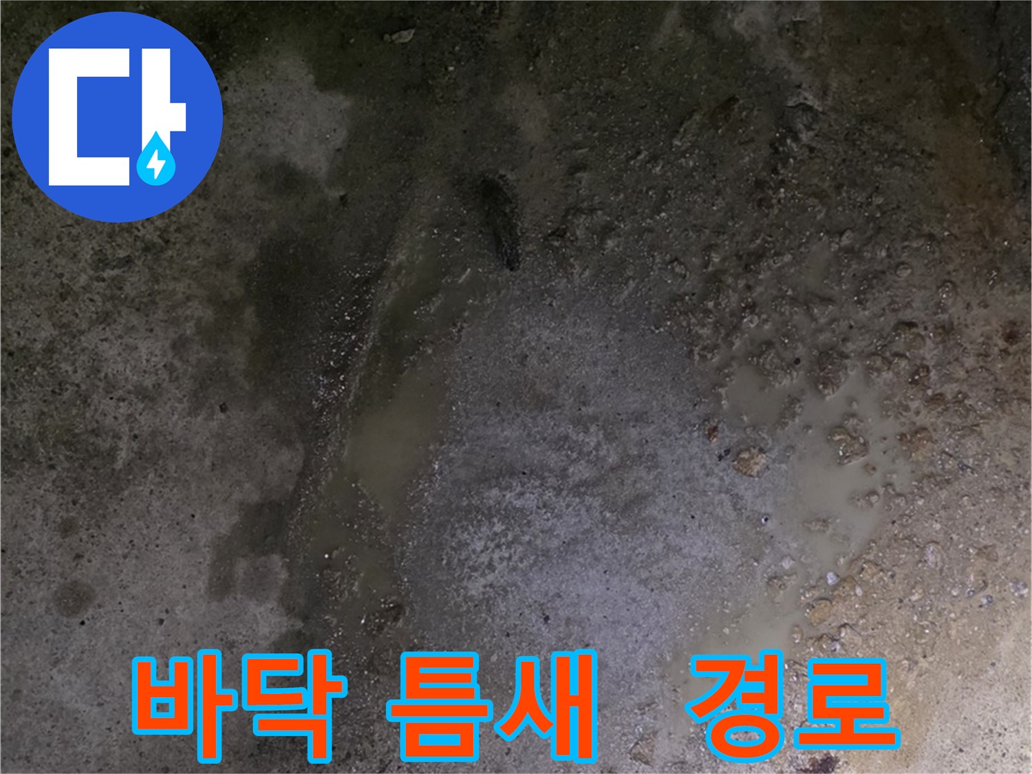 강원도 철원군 서면 와수리 누수 현장 - 바닥 틈새를 통해 누수가 발생하고 있을 가능성이 있습니다.