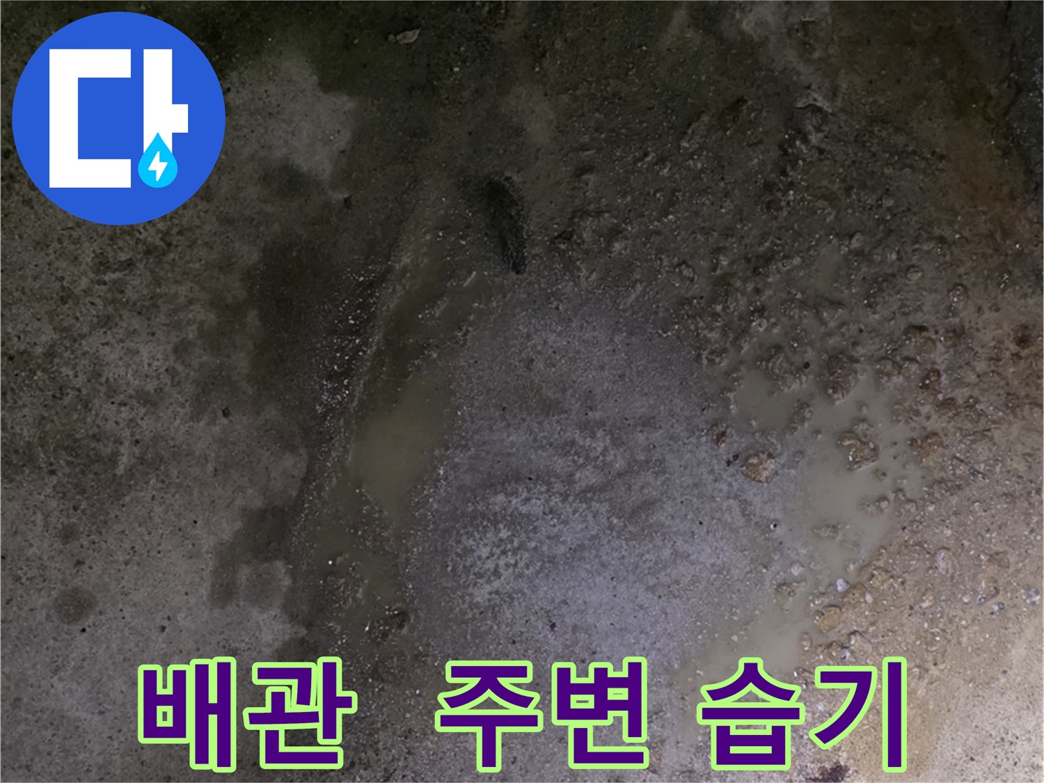강원특별자치도 철원군 서면 와수리 누수 현장 - 배관 주변에 습기가 있는 것은 숨겨진 누수가 발생하고 있다는 신호입니다.
