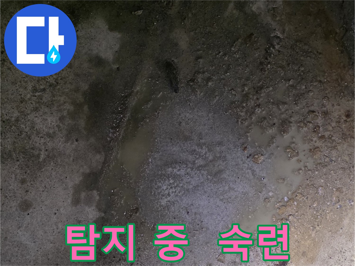 강원특별자치도 철원군 서면 와수리 누수 현장 - 숙련된 기술력을 바탕으로 누수 탐지를 진행하여 완벽하게 해결해 드립니다.