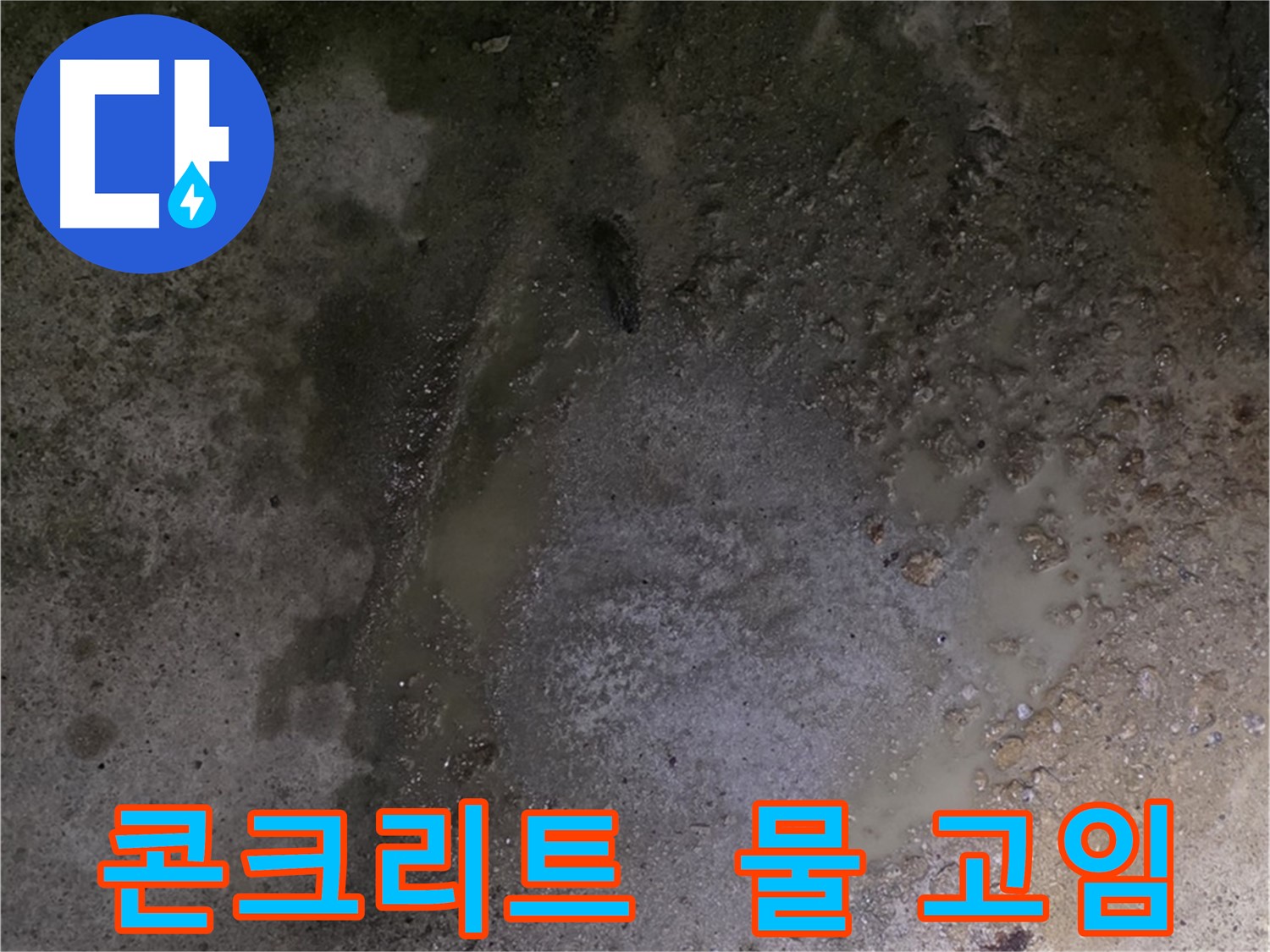 강원특별자치도 철원군 서면 와수리 누수 현장 - 콘크리트 바닥에 물이 고여 있는 것은 지속적인 누수를 의심해봐야 합니다.