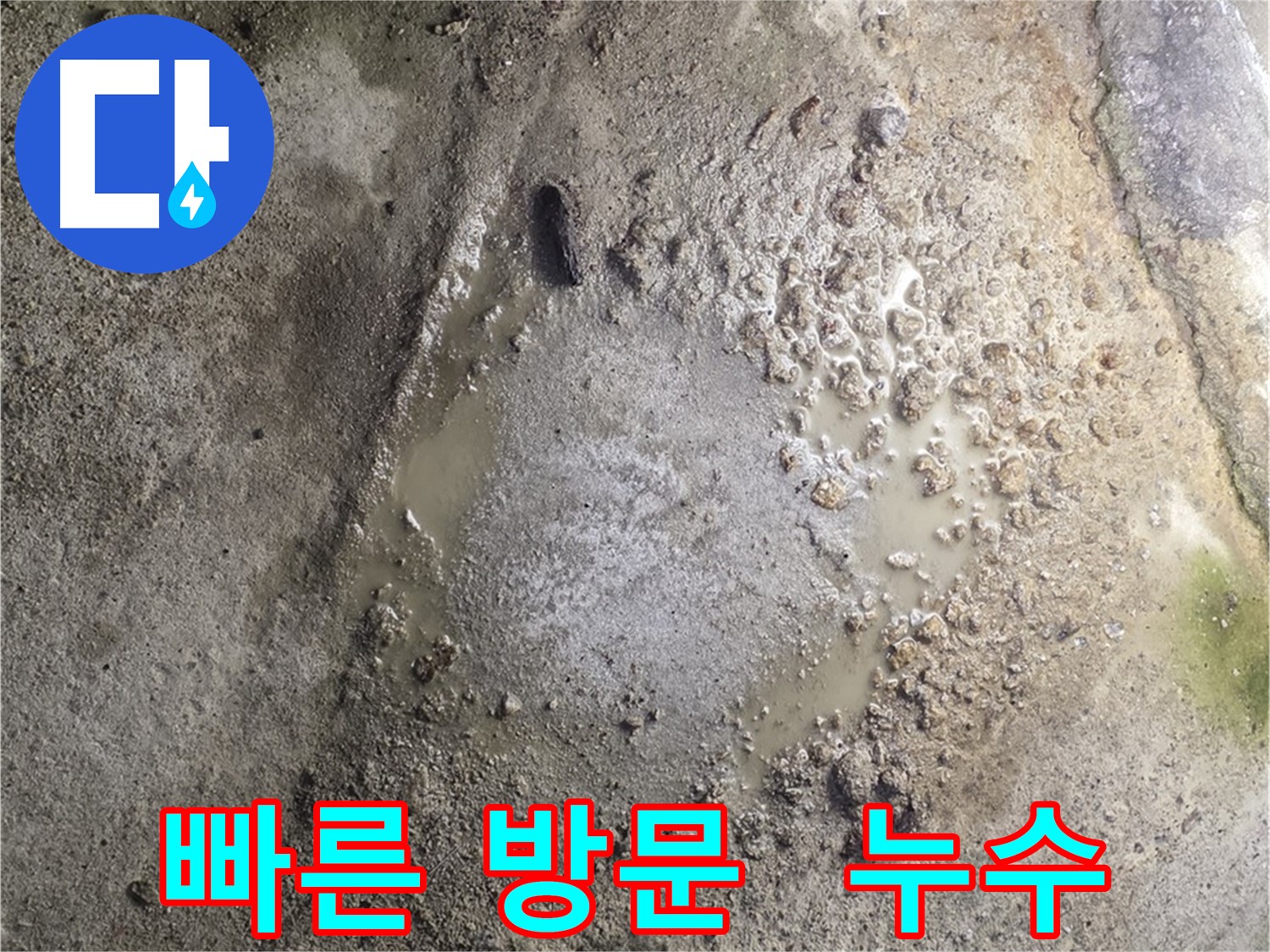 철원군 서면 와수리 누수 - 빠른 방문으로 누수 문제를 신속하게 해결해 드립니다.