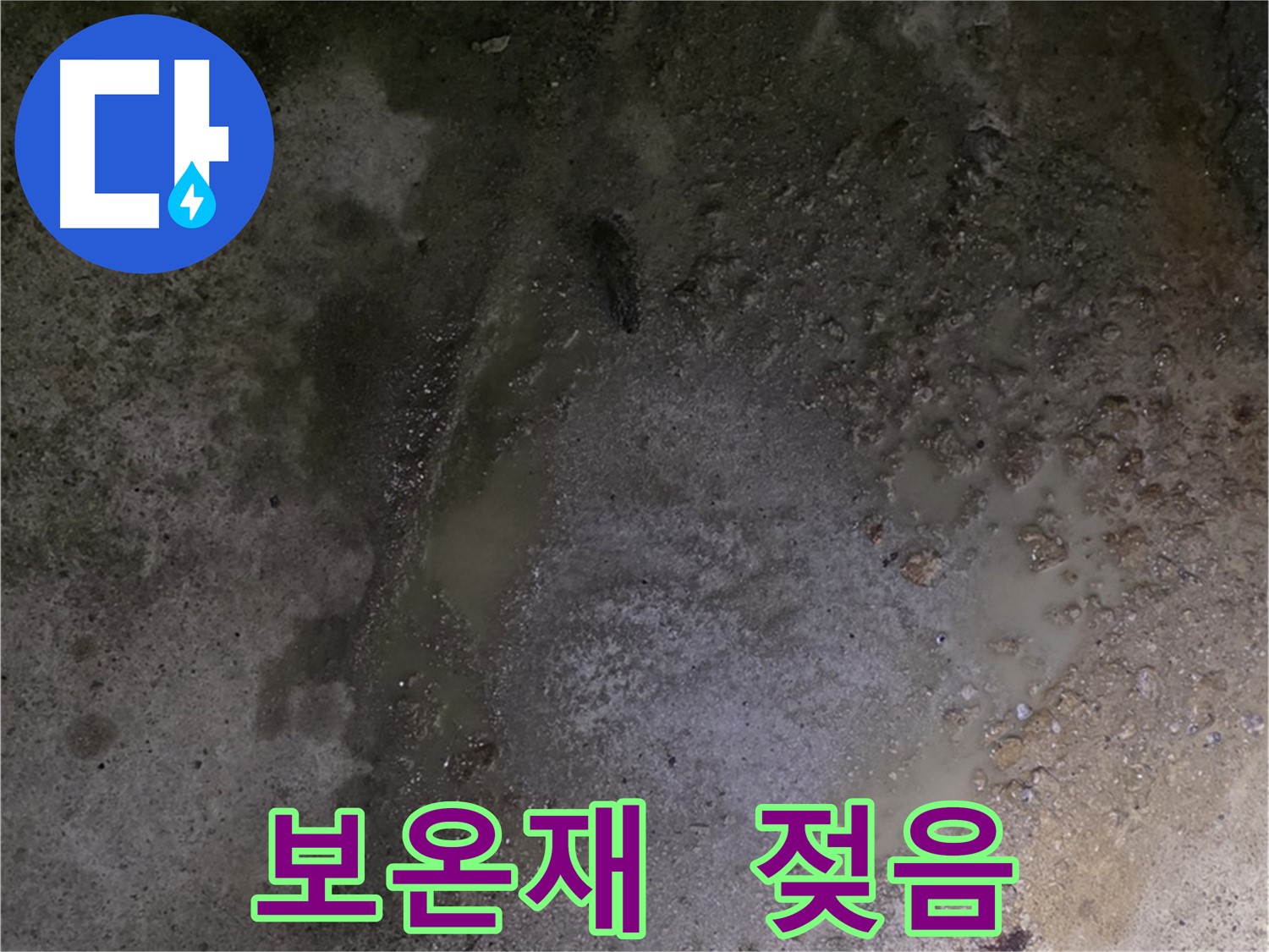철원군 서면 와수리 누수 현장 - 배관 보온재가 젖어 있는 것은 누수 또는 결로 현상으로 인한 것일 수 있습니다.