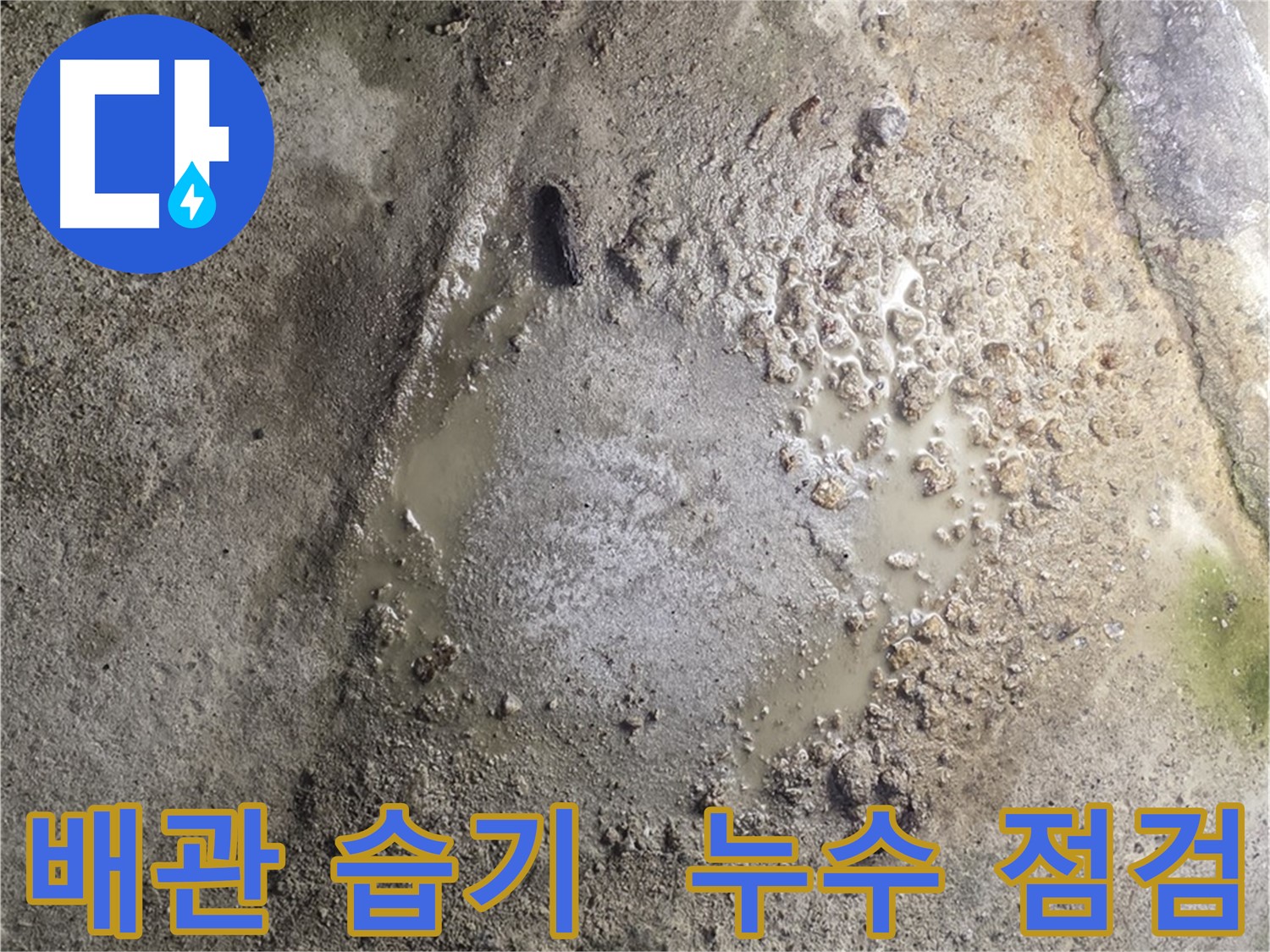 철원군 서면 와수리 누수 현장 - 배관 주변에 습기가 있는 상태로 전문적인 누수 점검이 필요한 상황입니다.