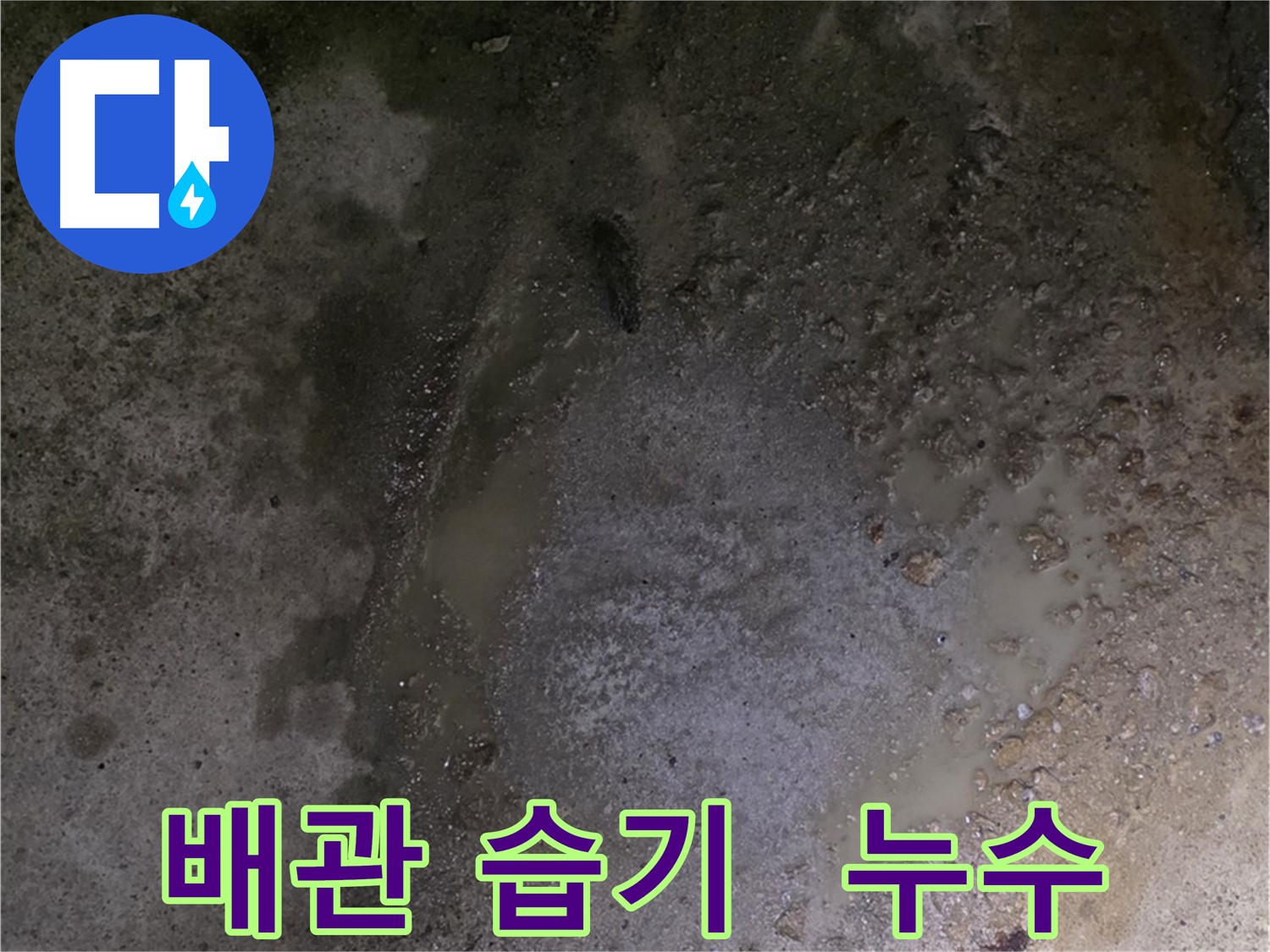철원군 서면 와수리 누수 현장 - 배관 주변에 습기가 차 있는 모습, 누수를 의심해 볼 수 있습니다.