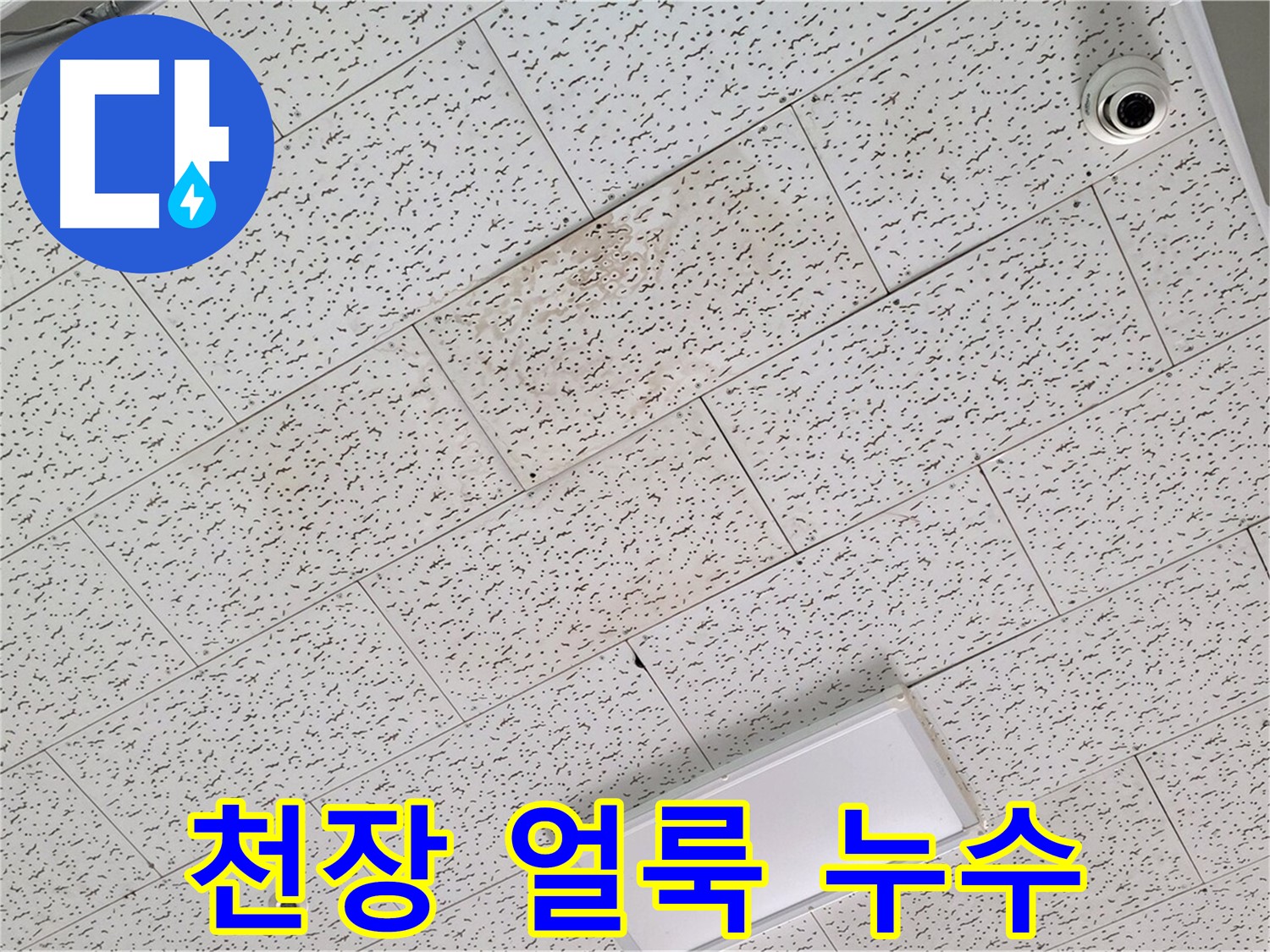 김포 장기동 누수 - 석고보드 천장 얼룩으로 초기 누수 발견
