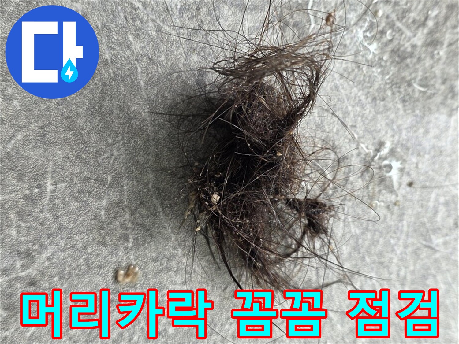 머리카락 꼼꼼 점검 - 머리카락과 함께 발견된 누수, 꼼꼼한 점검으로 확실하게 해결합니다.