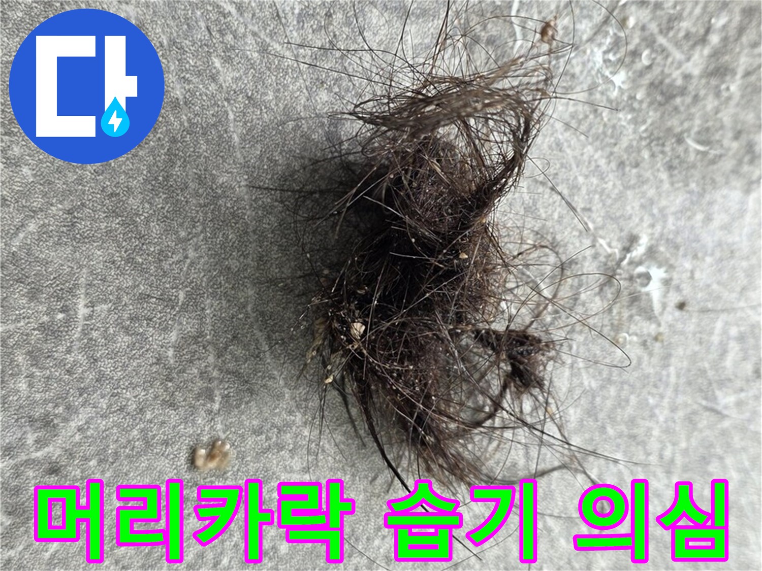 머리카락 습기 의심 - 머리카락 주변 습기, 누수 가능성을 의심하고 전문가에게 문의하세요.