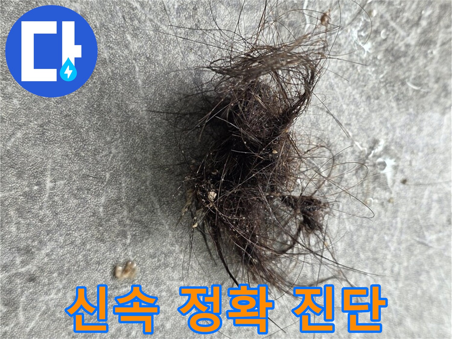신속하고 정확한 누수 진단 - 빠른 시간 안에 정확하게 누수 위치를 파악합니다.