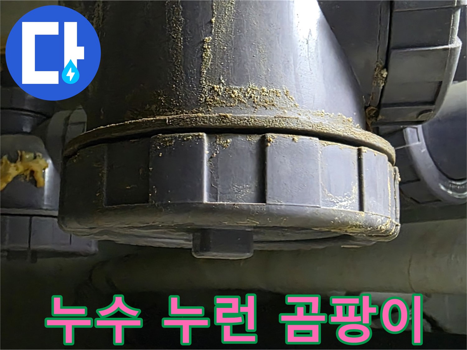 PVC 배관 연결부 누수 흔적 - 건물 내부 습도 상승 및 누런 곰팡이 발생