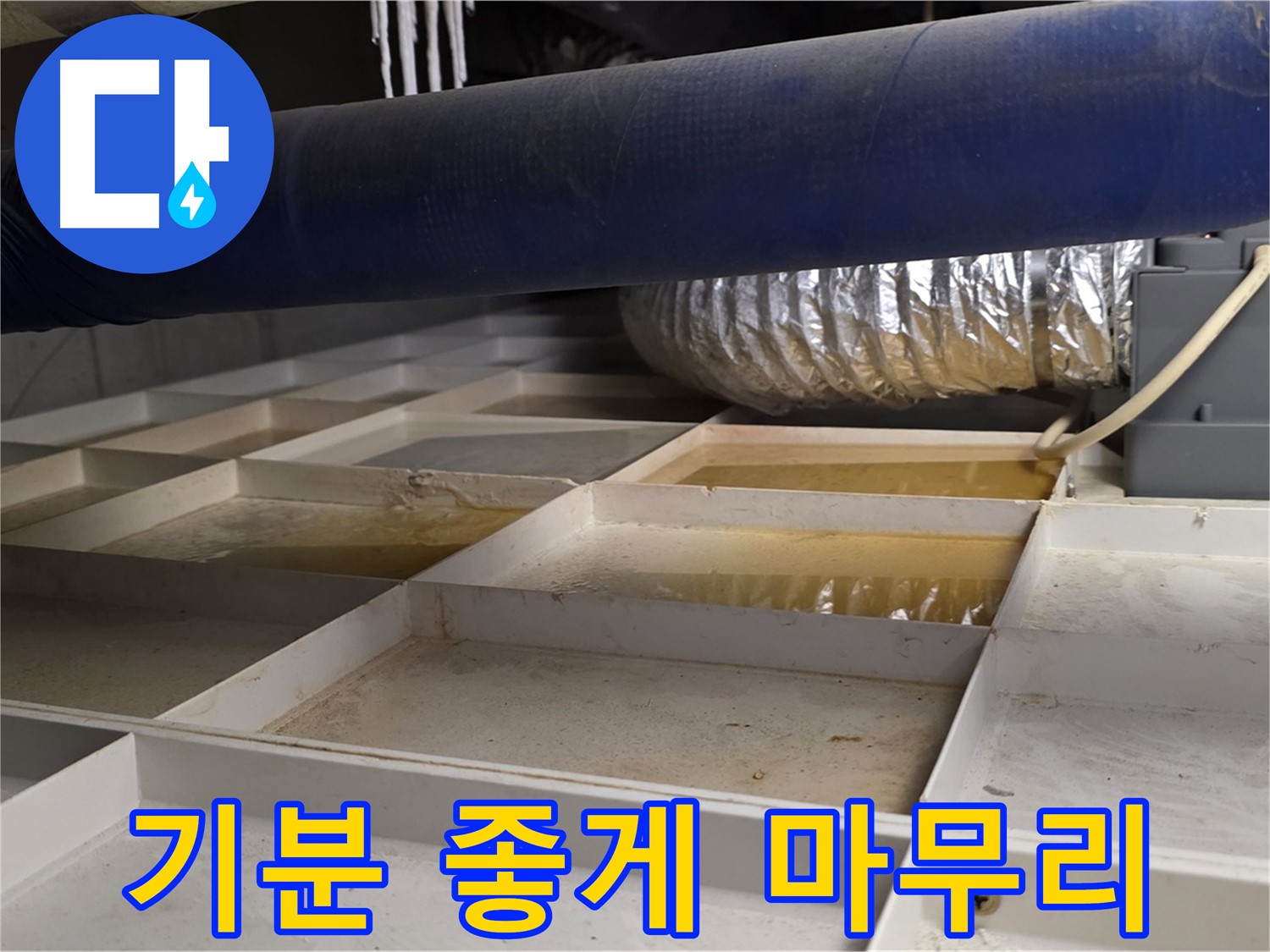 건물 하부 격자 누수 - 완벽 해결 후 기분 좋게 마무리 - 만족
