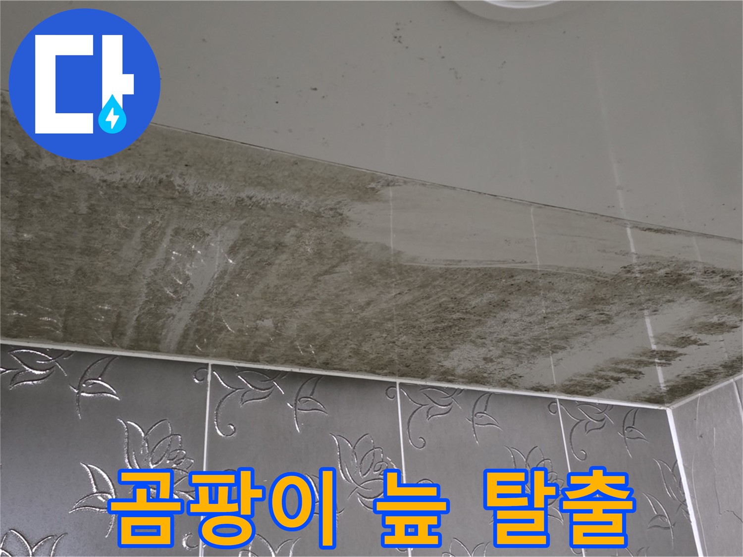 곰팡이 늪 욕실 - 누수 원인 해결 후 깨끗한 공간으로 변신!