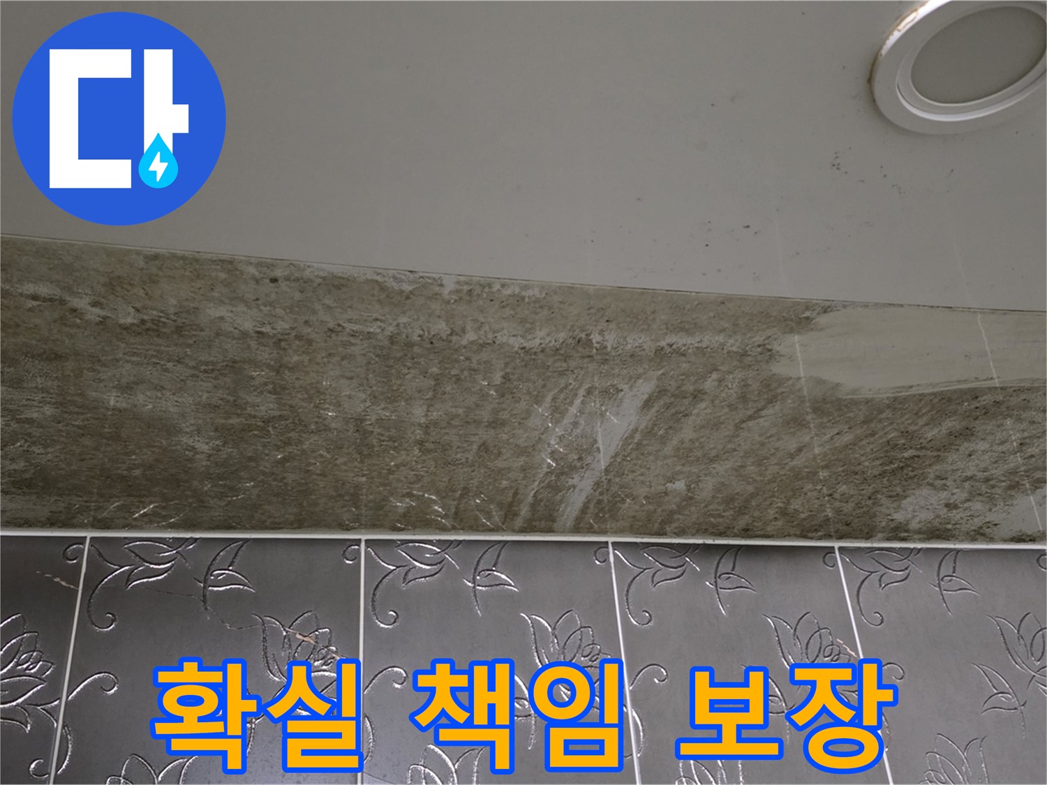곰팡이 심한 욕실 - 곰팡이 싹 OUT! 쾌적한 욕실, 확실하게 책임 보장합니다!