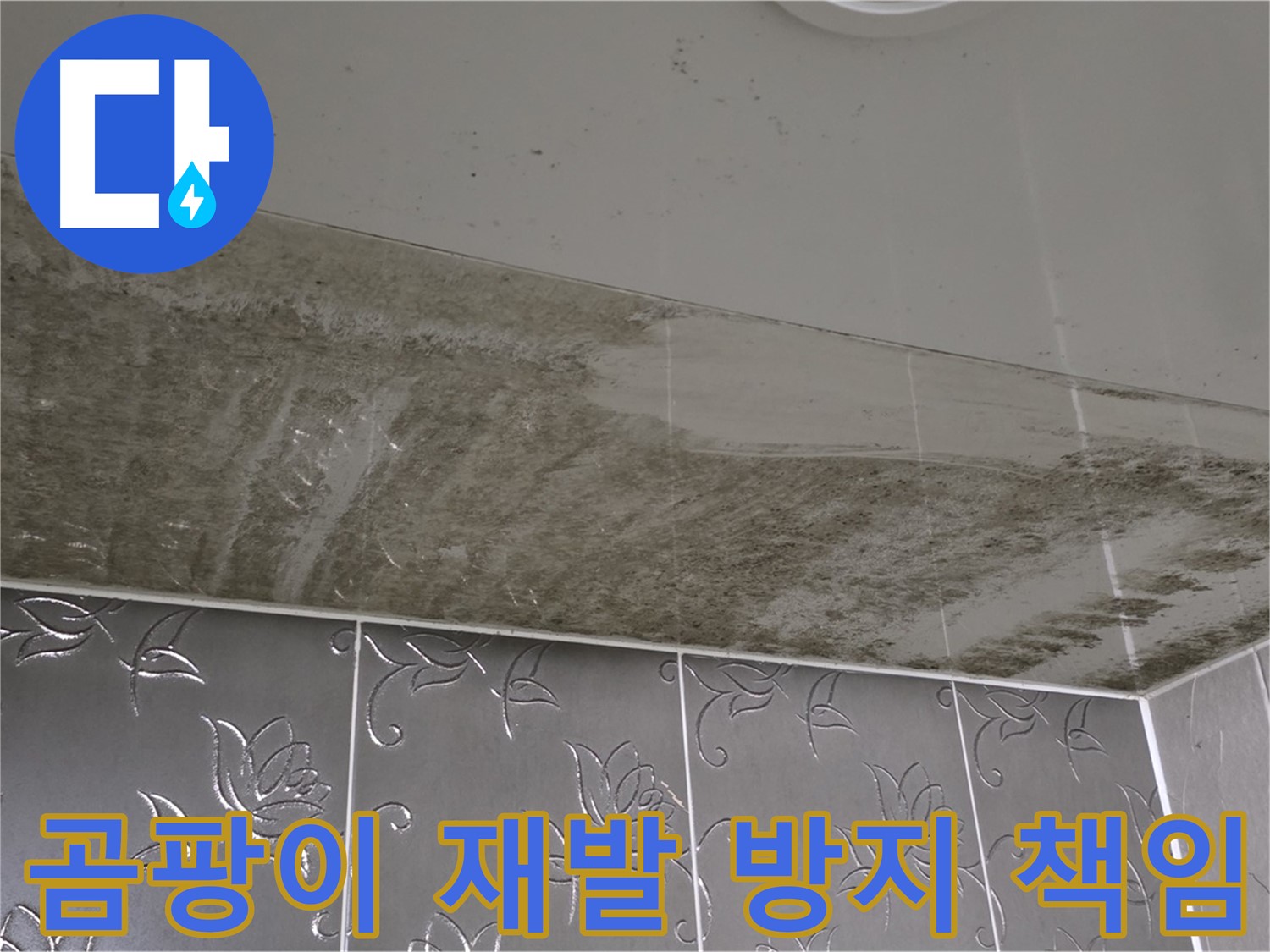 곰팡이 욕실 - 재발 방지를 위한 완벽한 시공과 책임감 있는 전문가